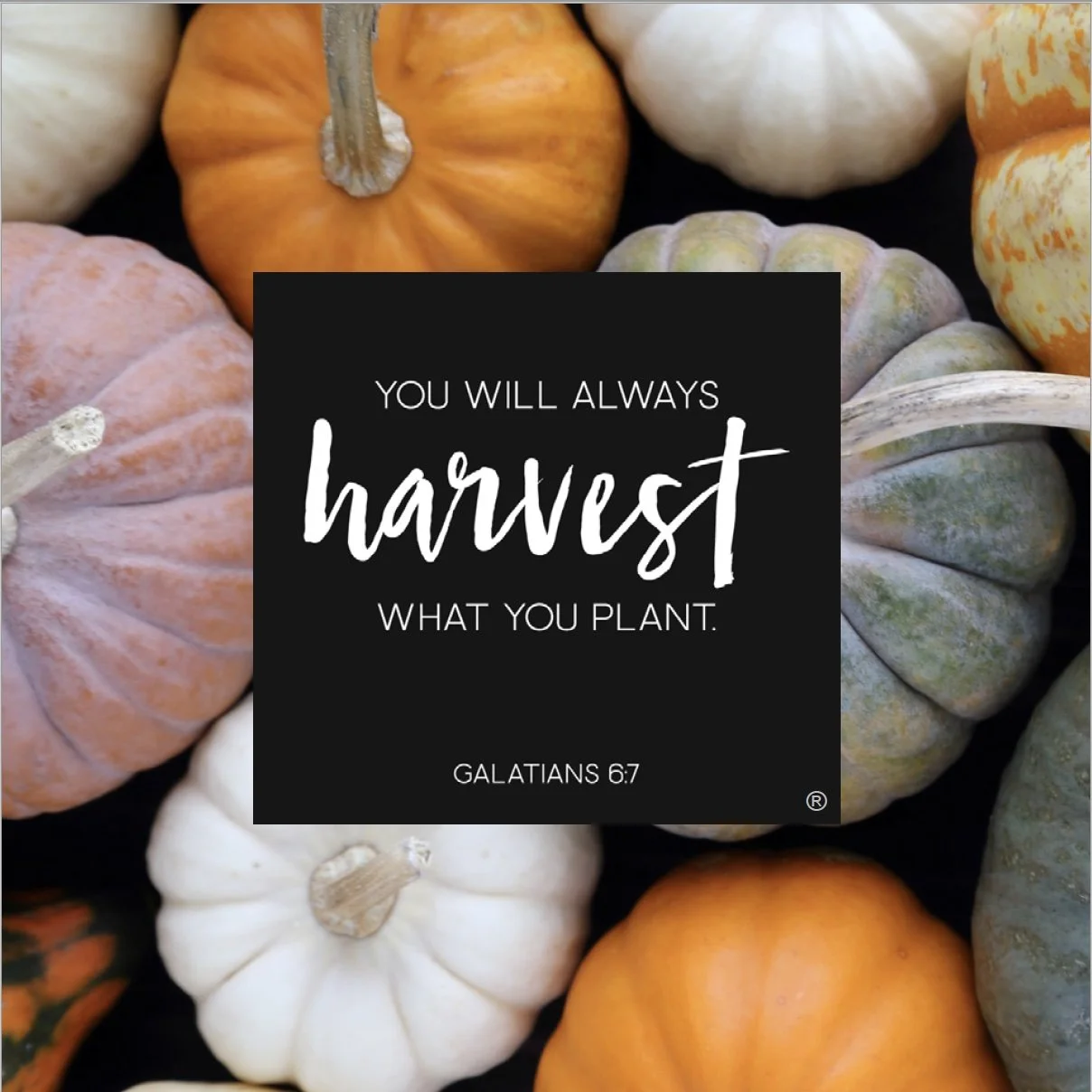 GENEROSITY SUNDAY IS NOV. 8TH!