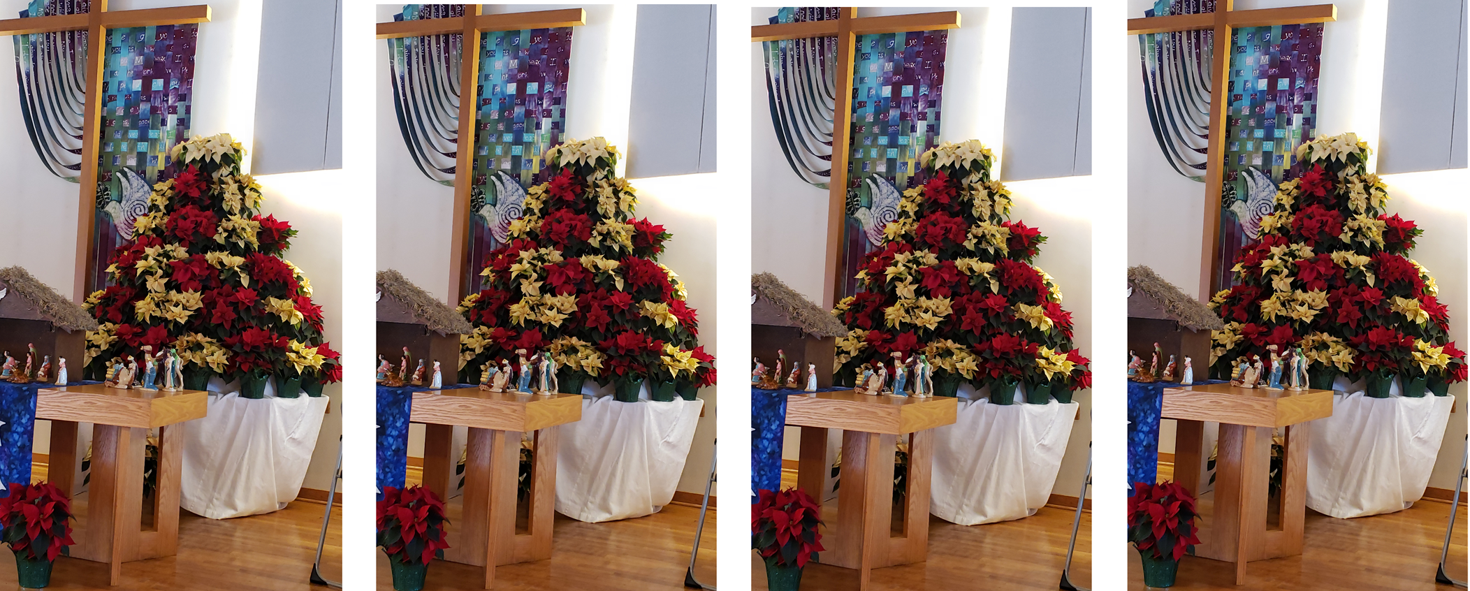 HCC Poinsettias Tree_cropped_multi.png