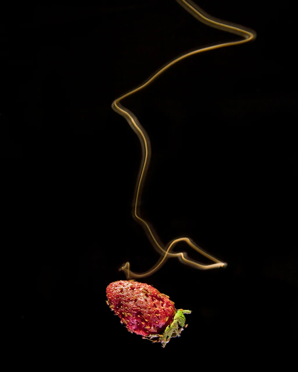 Long exposure of an illuminated fly as it approaches a fermenting strawberry.