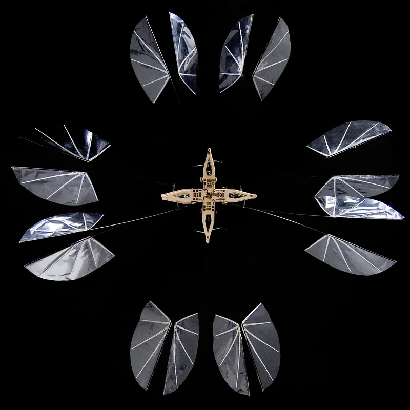 Strobe-light illuminated image showing both the inward and outward wing strokes of this 8-winged flapping hovering MAV (2008).