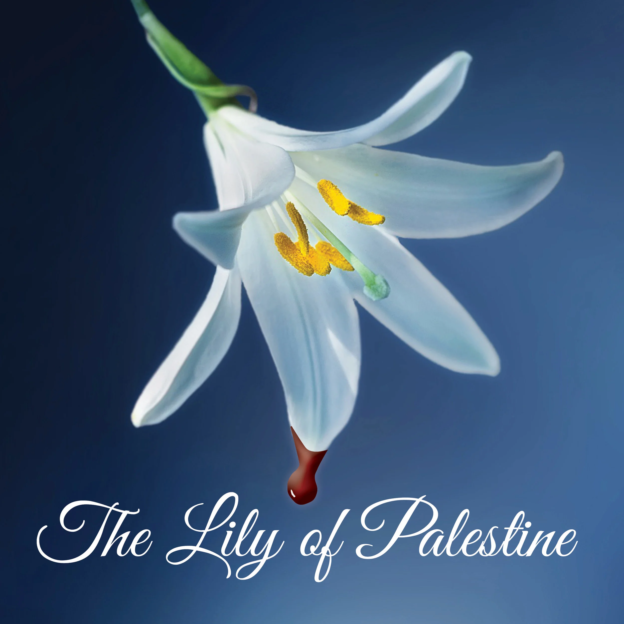 LilyWeb-1.jpg
