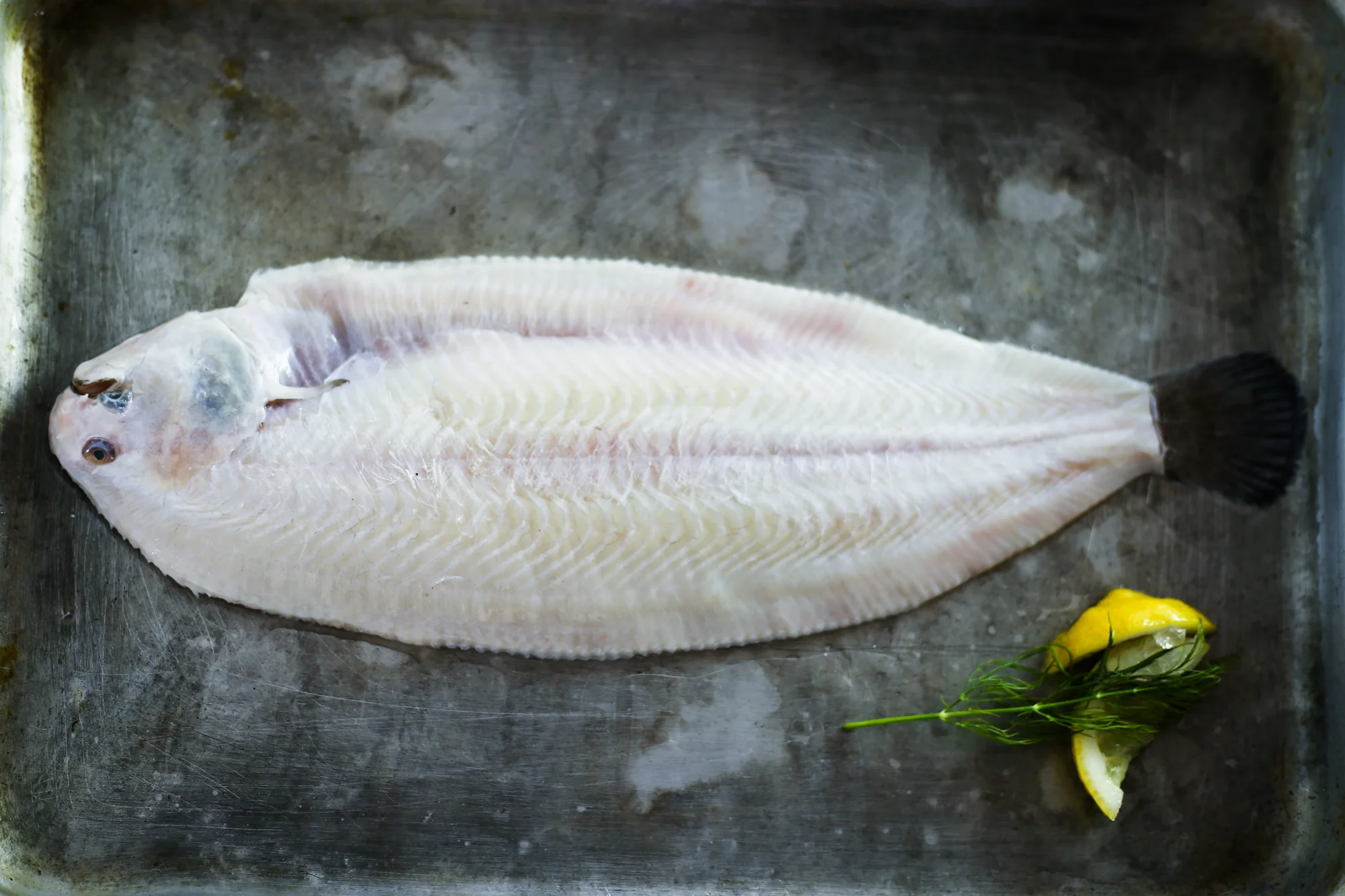 SHOP WATERDANCE DOVER SOLE