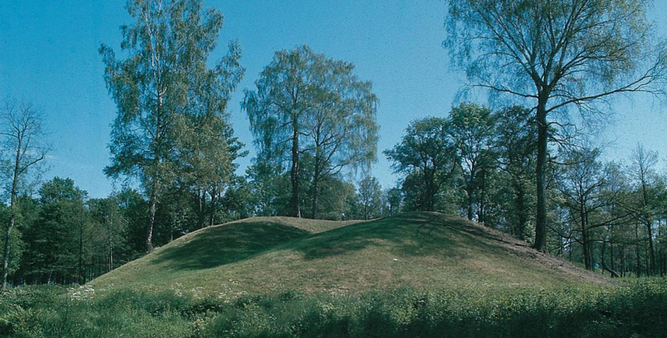 Borrehaugene (1).png