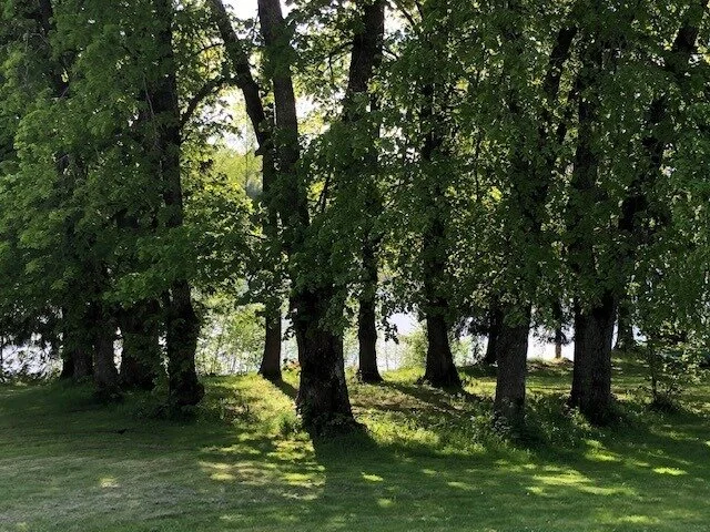 Invitasjon til Sommersolverv 21 juni på Dikemark i Asker 