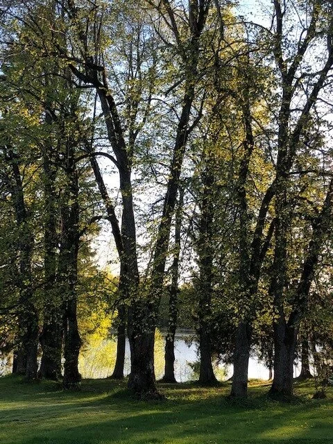 Velkommen til feiring av høstjevndøgn og fullmåne med Kosmologisk Livstro, onsdag 22. september kl 1830.