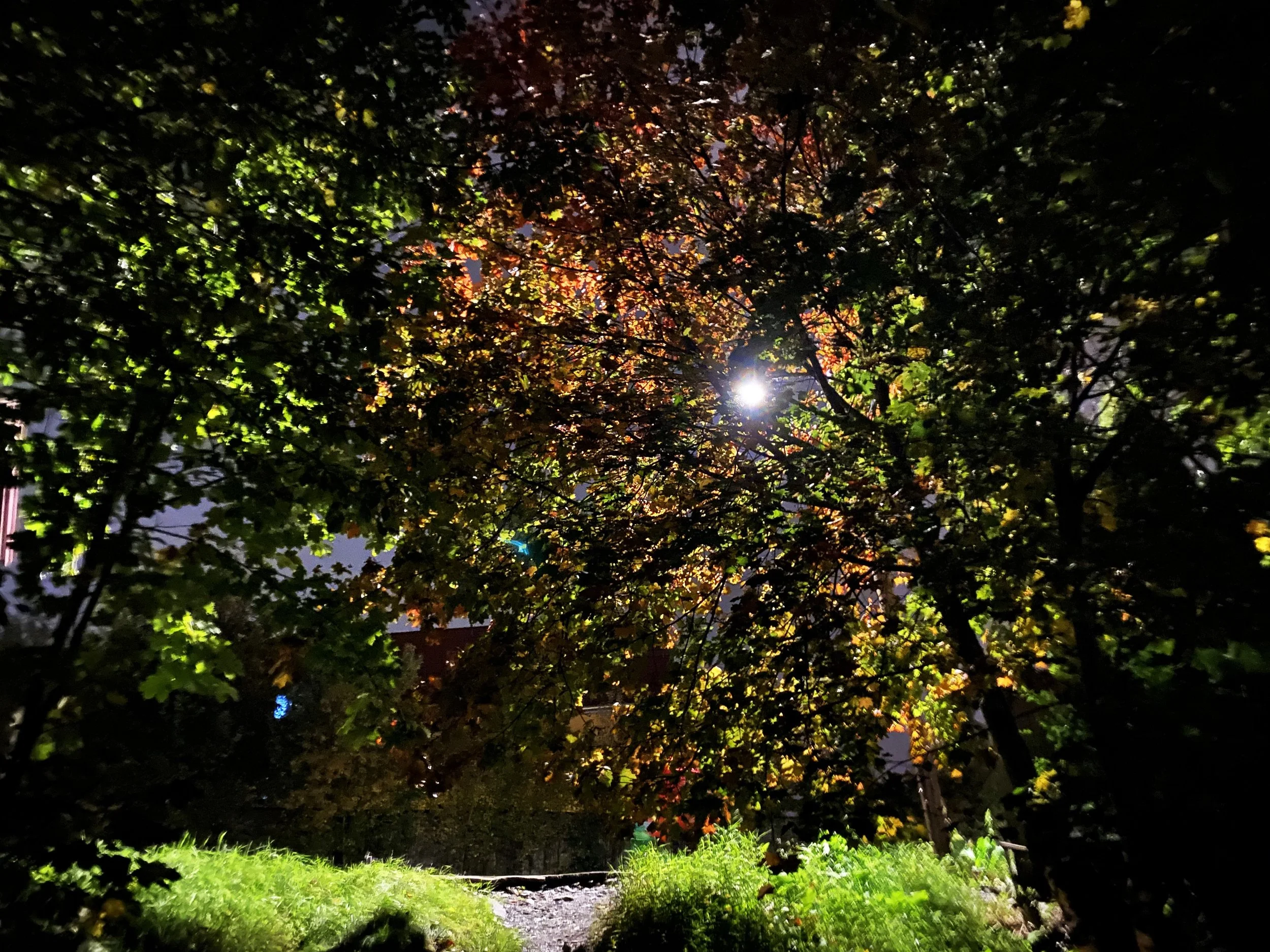 Bevisstgjøring ved fullmånen 27. november 2023