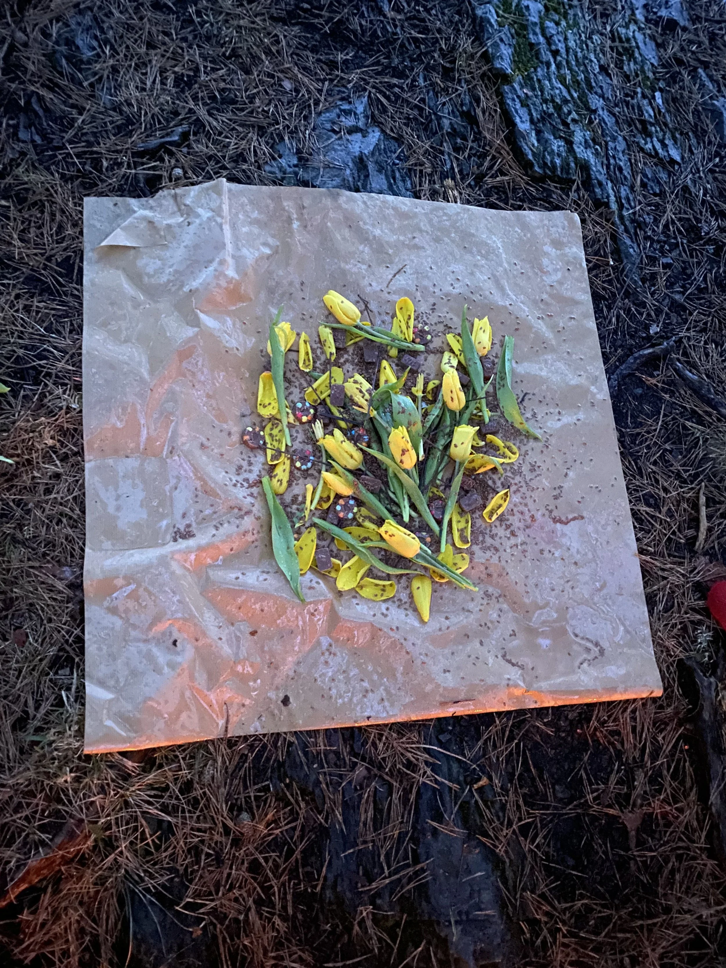 Årsmøte for Kosmologisk Livstro 18. april 2024