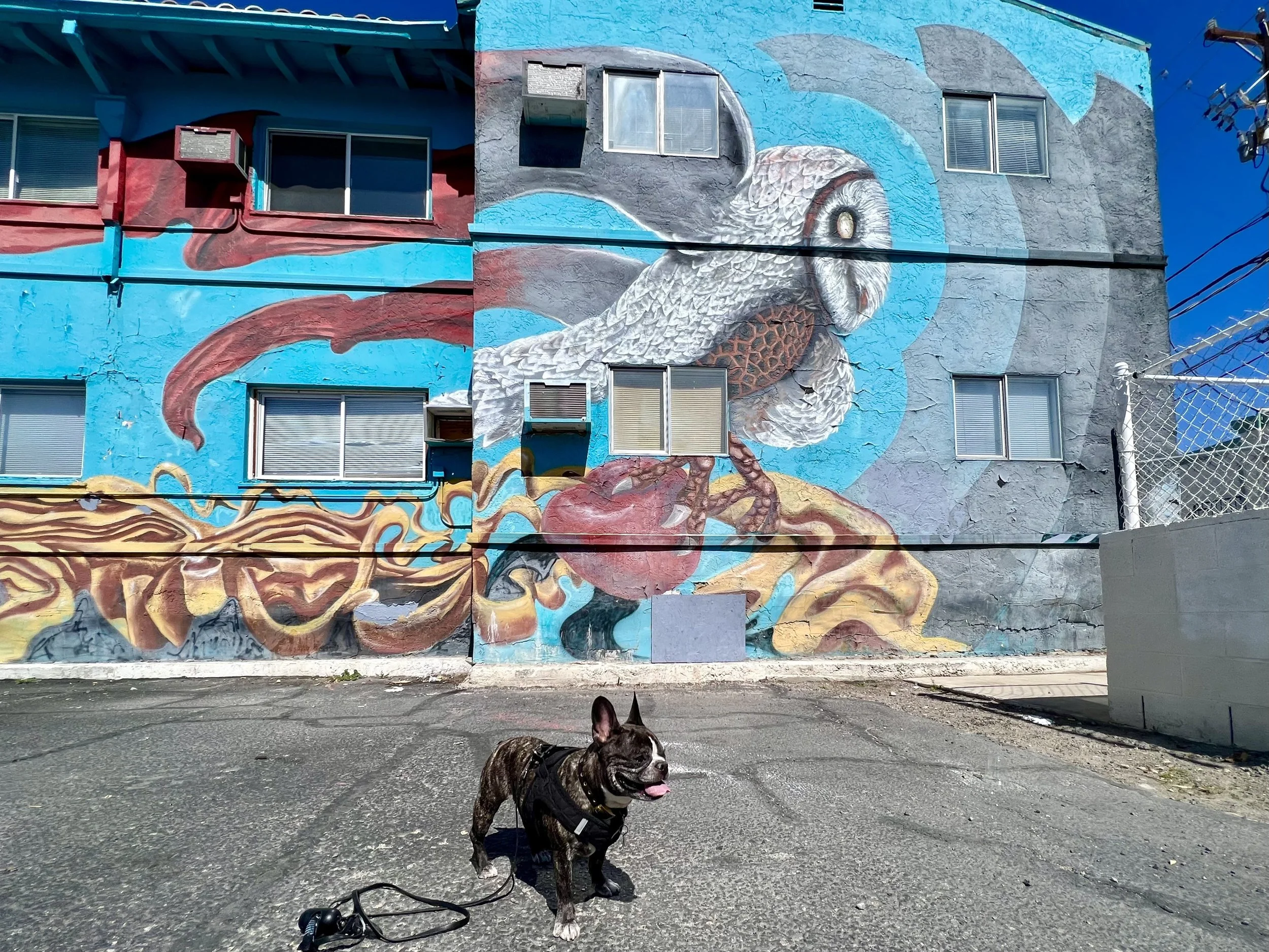 The Best Las Vegas Murals and Las Vegas Street Art — Sick Girl Travels
