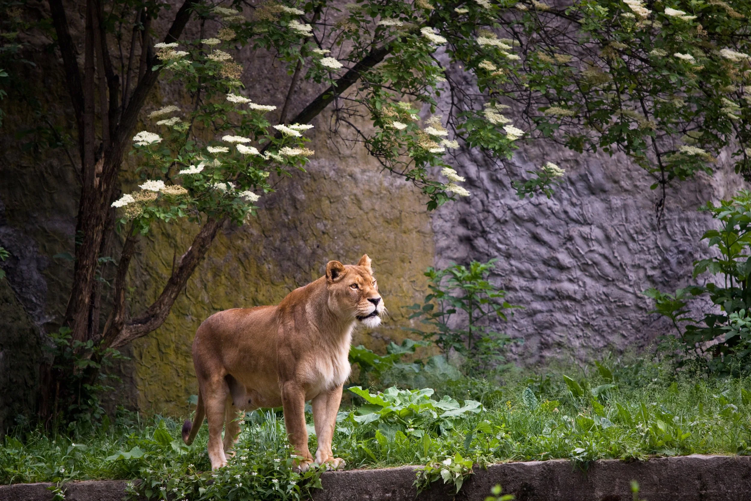 Visiting The Warsaw Zoo Poland — Sick Girl Travels