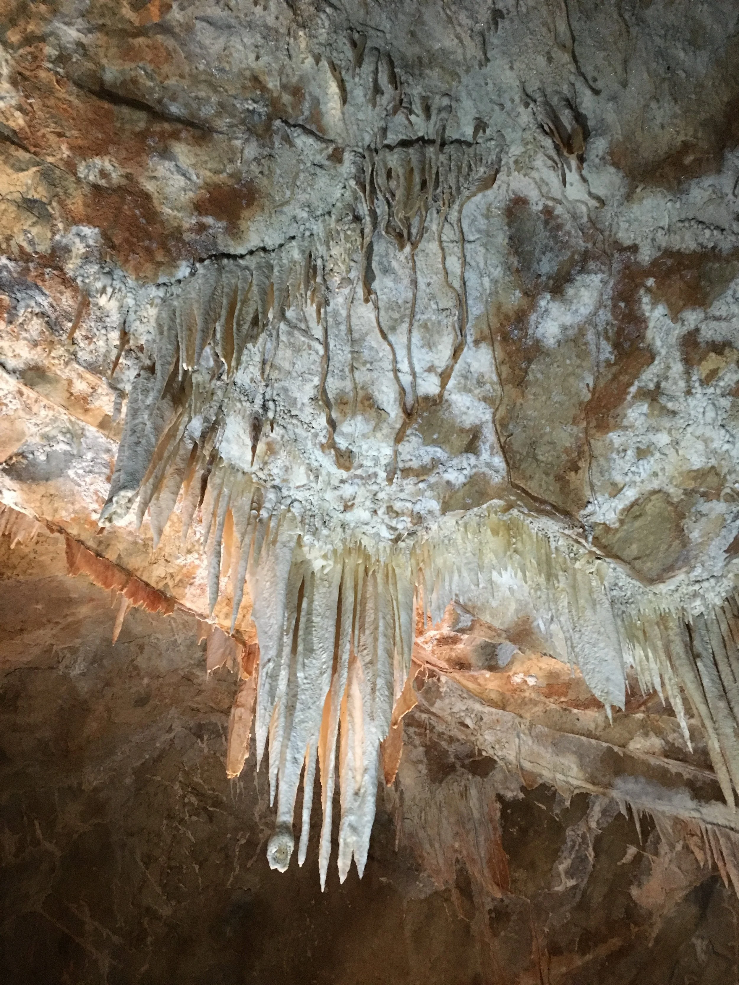 Blue Mountains Caving at Jenolan Caves Australia