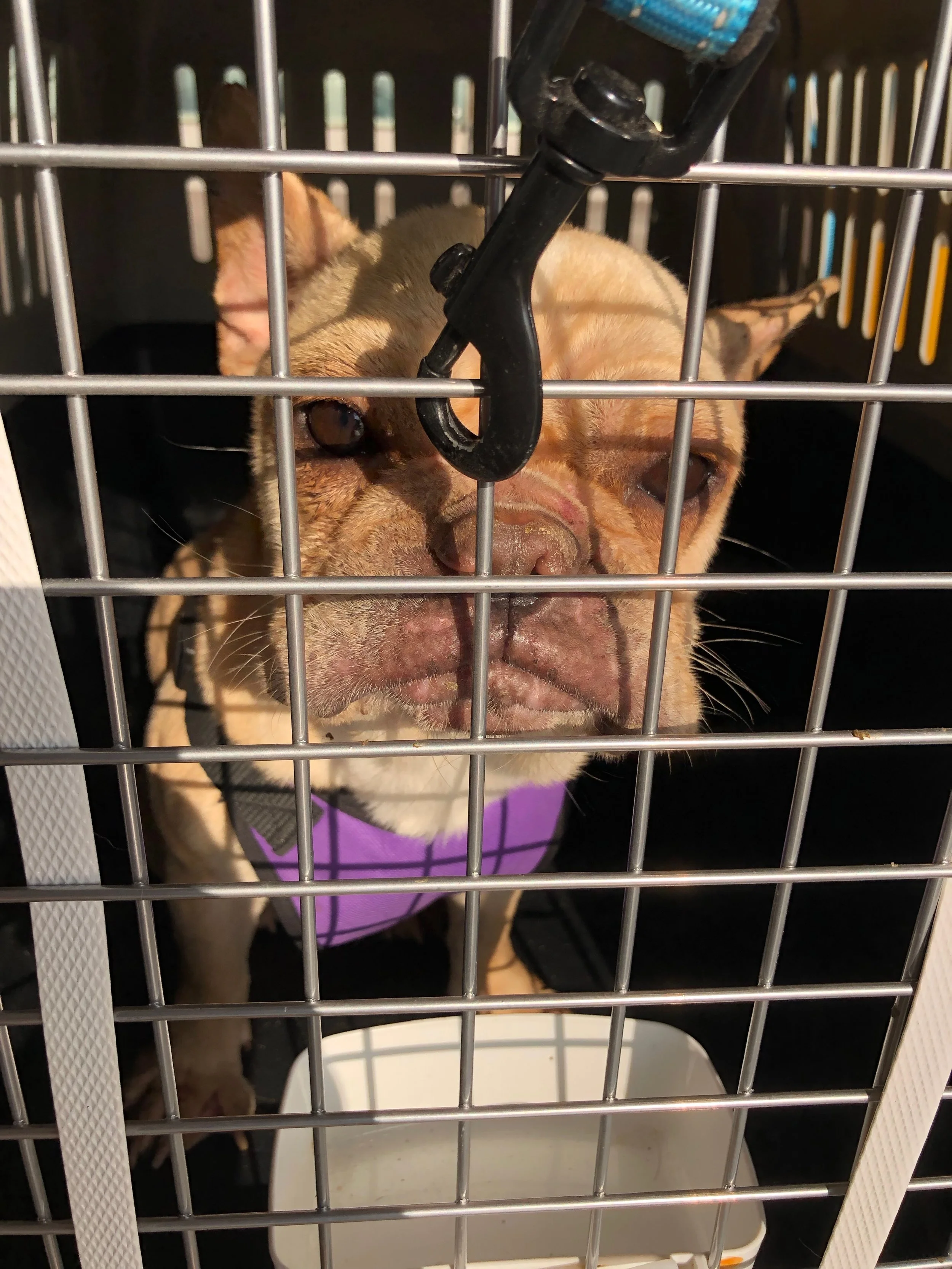 Combining Travel and Volunteer Work, My Third Trip to China