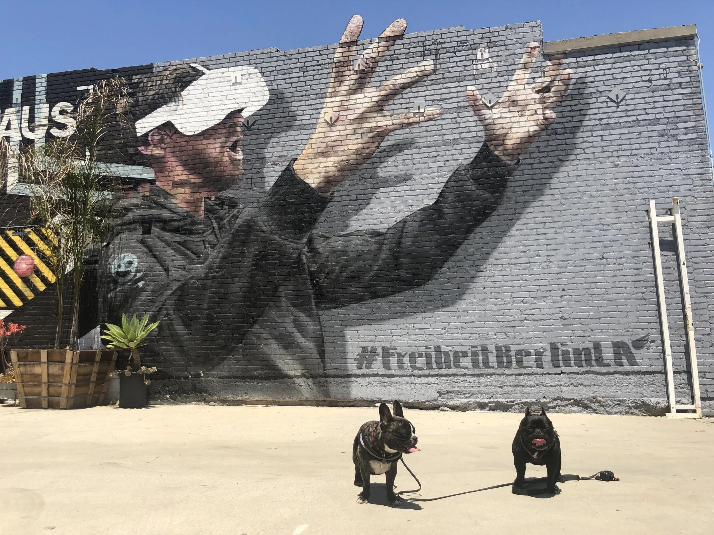 The Complete Guide to Street Art In DTLA's Arts District — Sick Girl