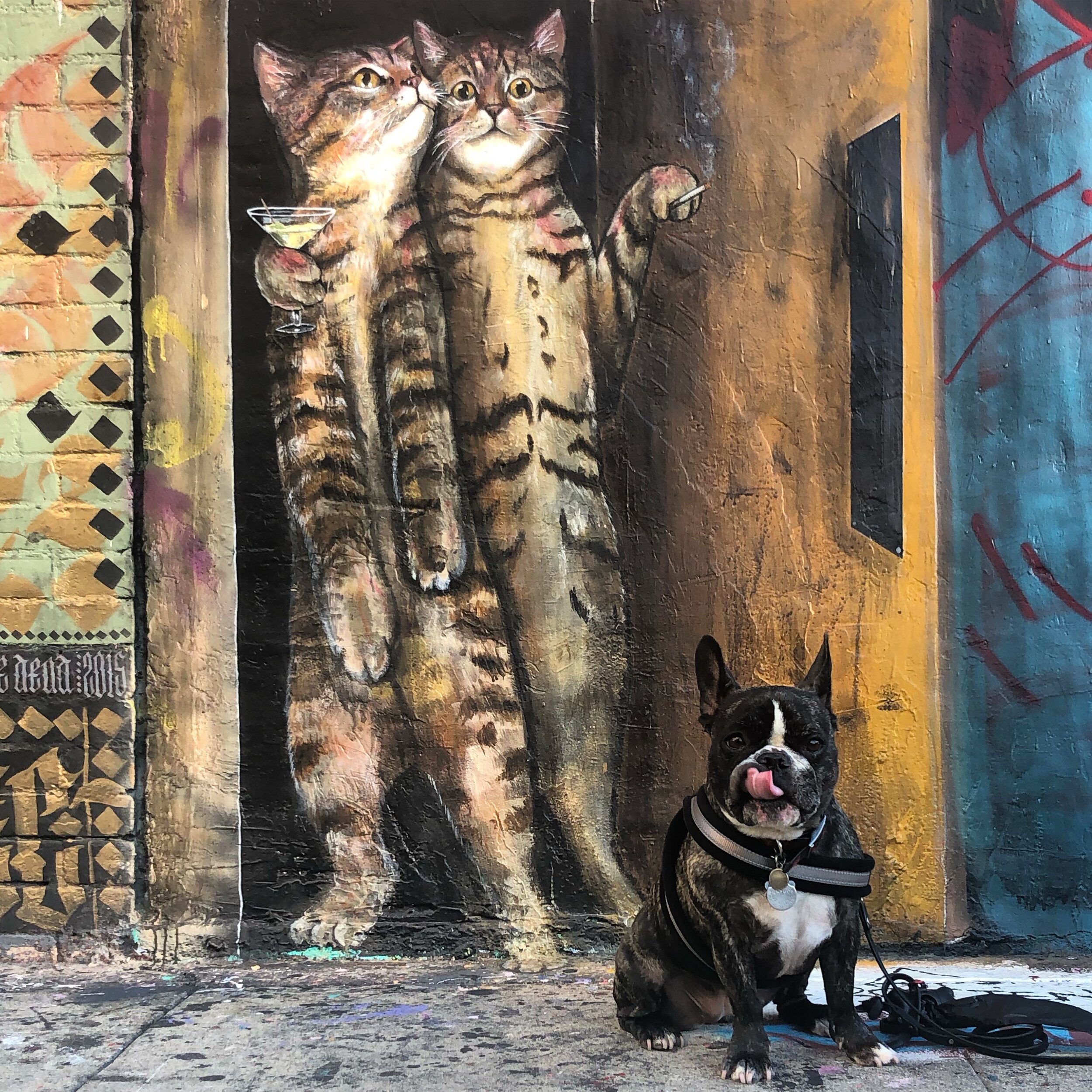 Cat Mural next to the Pie Hole in the Arts District