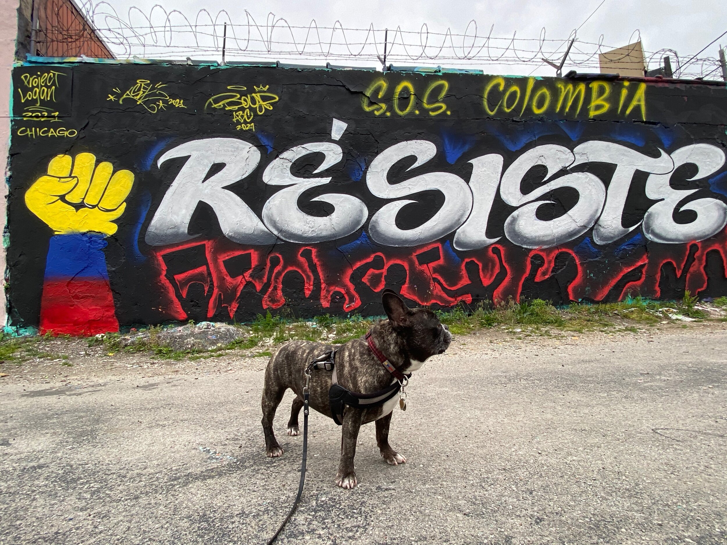 SOS Columbia Resiste Mural, Artist Unknown