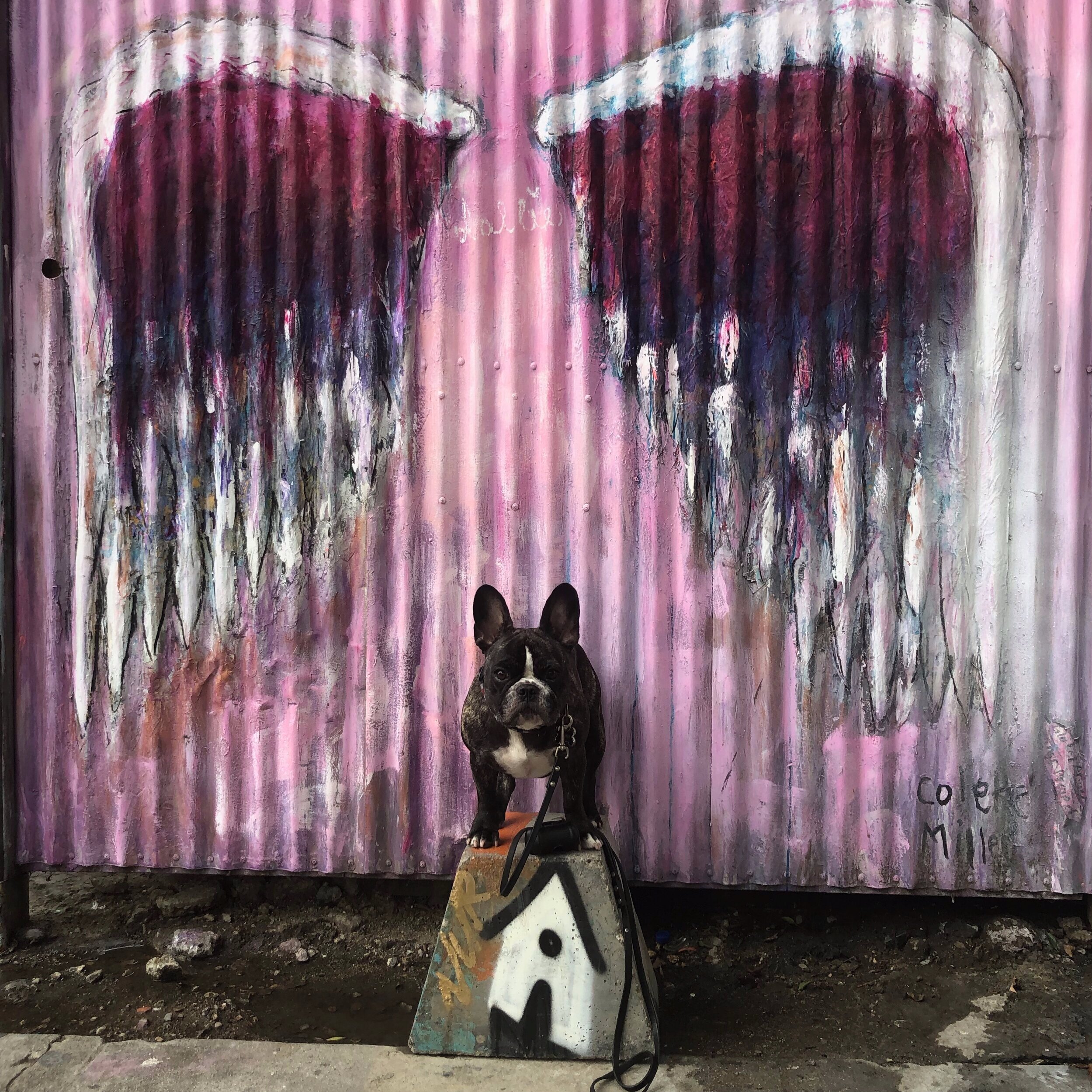 Angel Wings Mural near the Arts District Co-Op