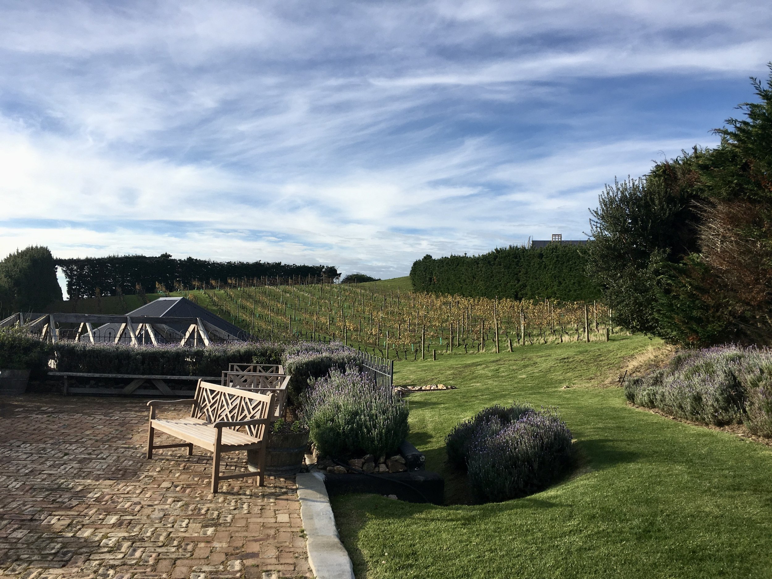 Mudbrick Restaurants Waiheke Island and Winery Tour Wiaheke Island