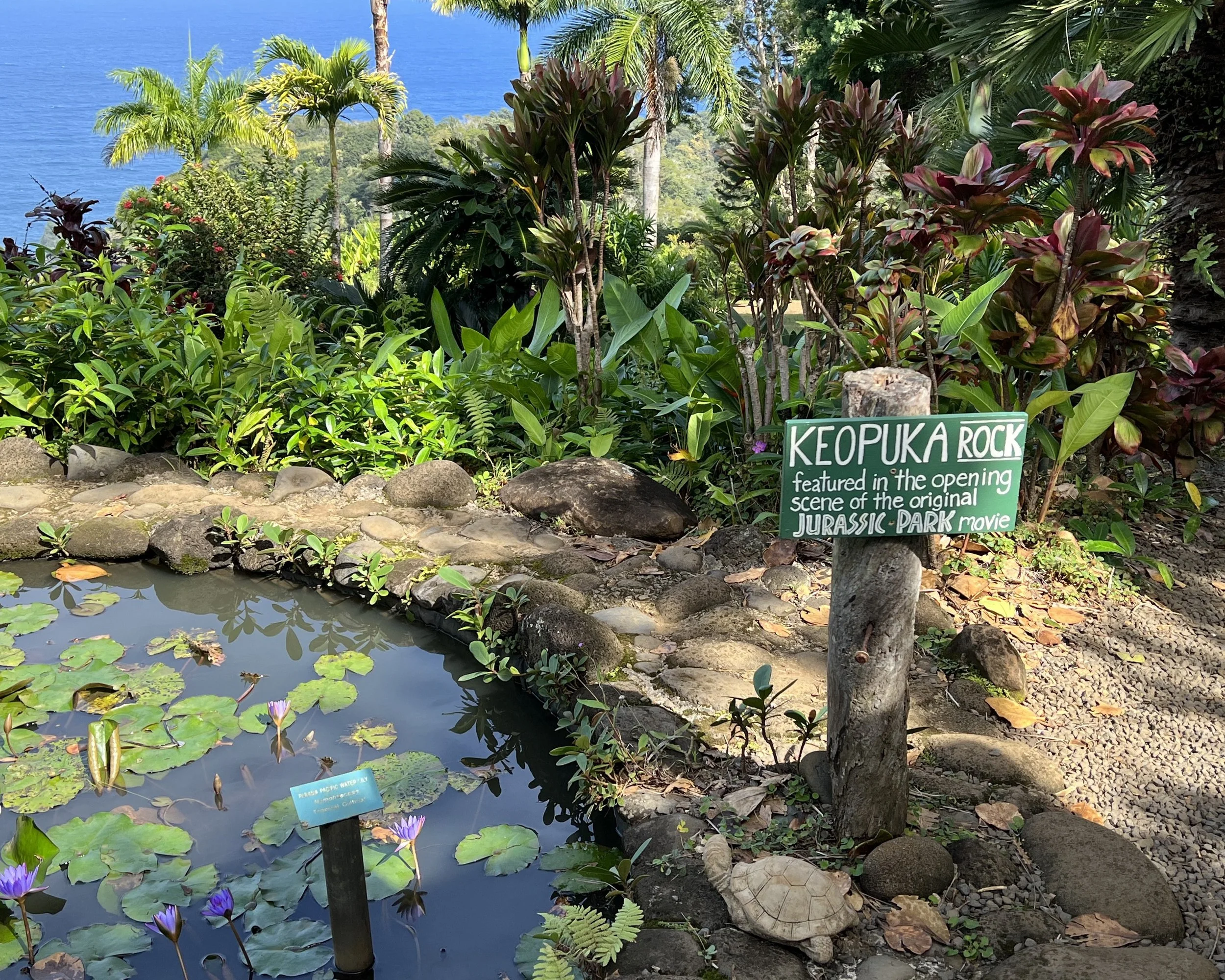 Planning The Best Maui Itinerary From The West Maui Mountains to Hanna