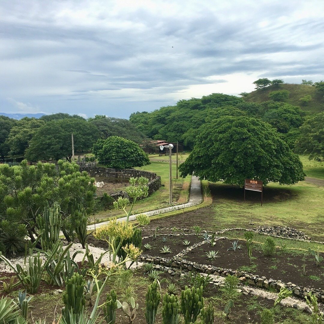 Casona Hacienda Viejo Property