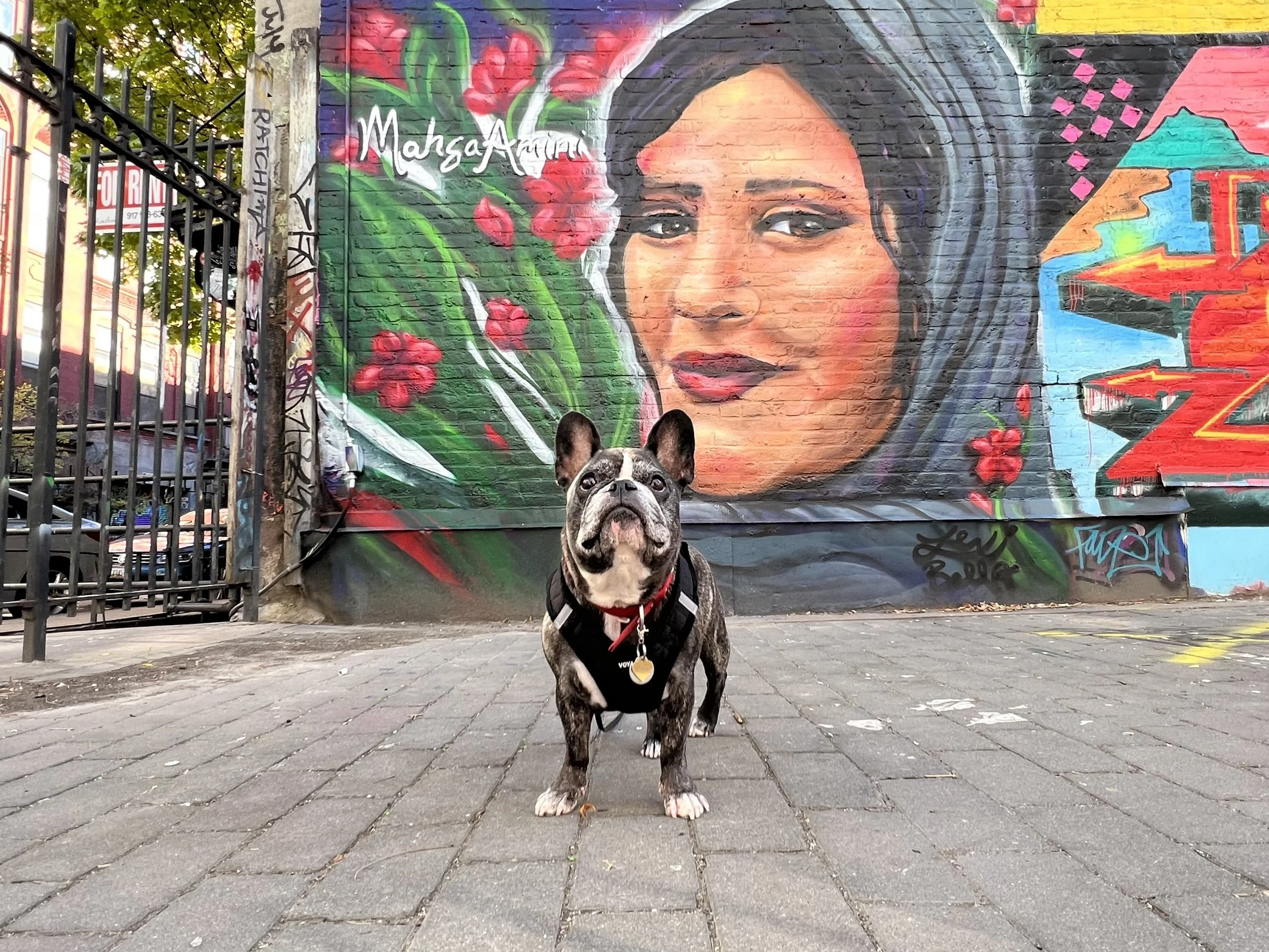 Where to Find the Best NYC Street Art — Sick Girl Travels