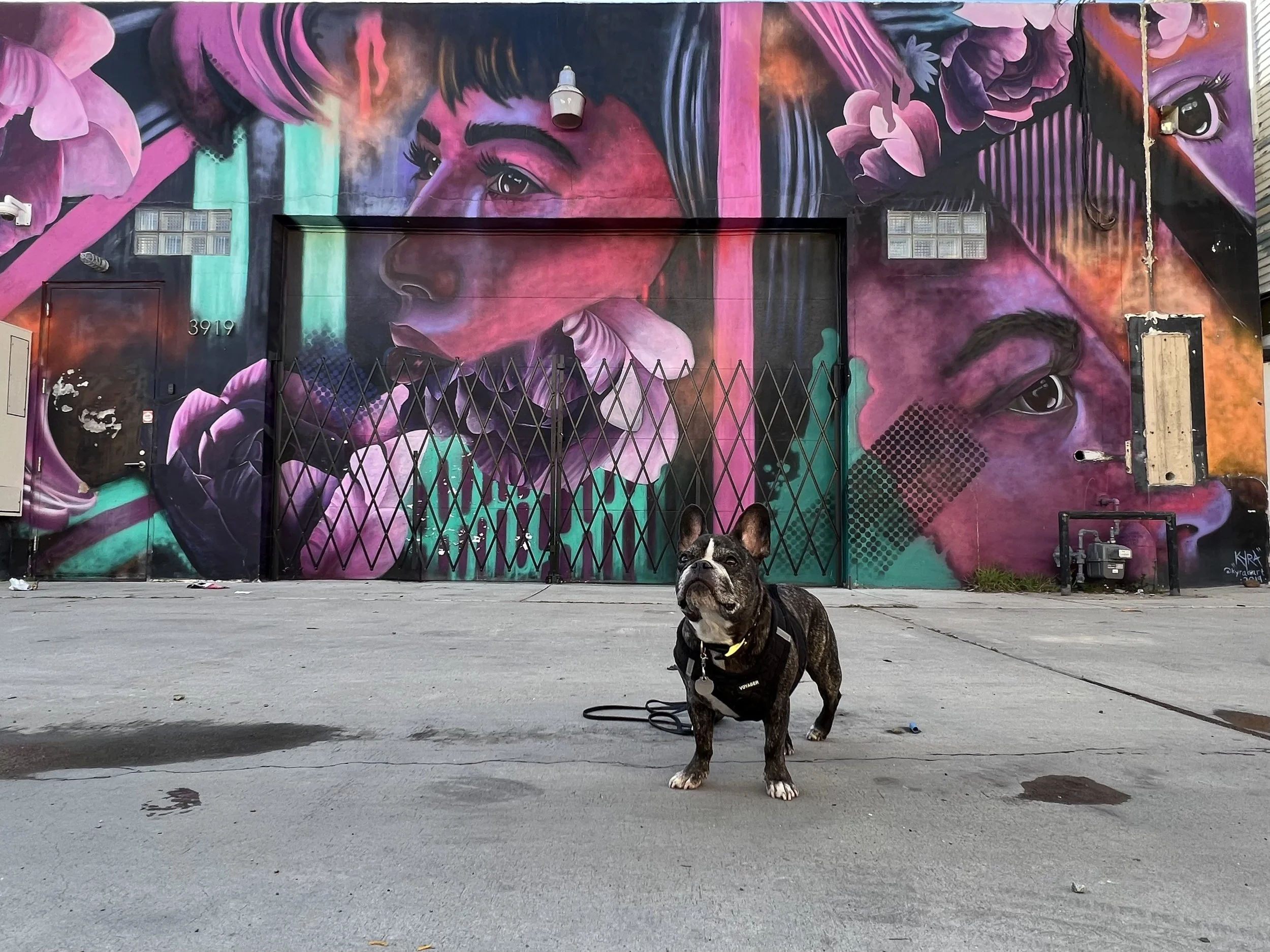 The Best San Diego Murals and Street Art and Where to Find Them — Sick