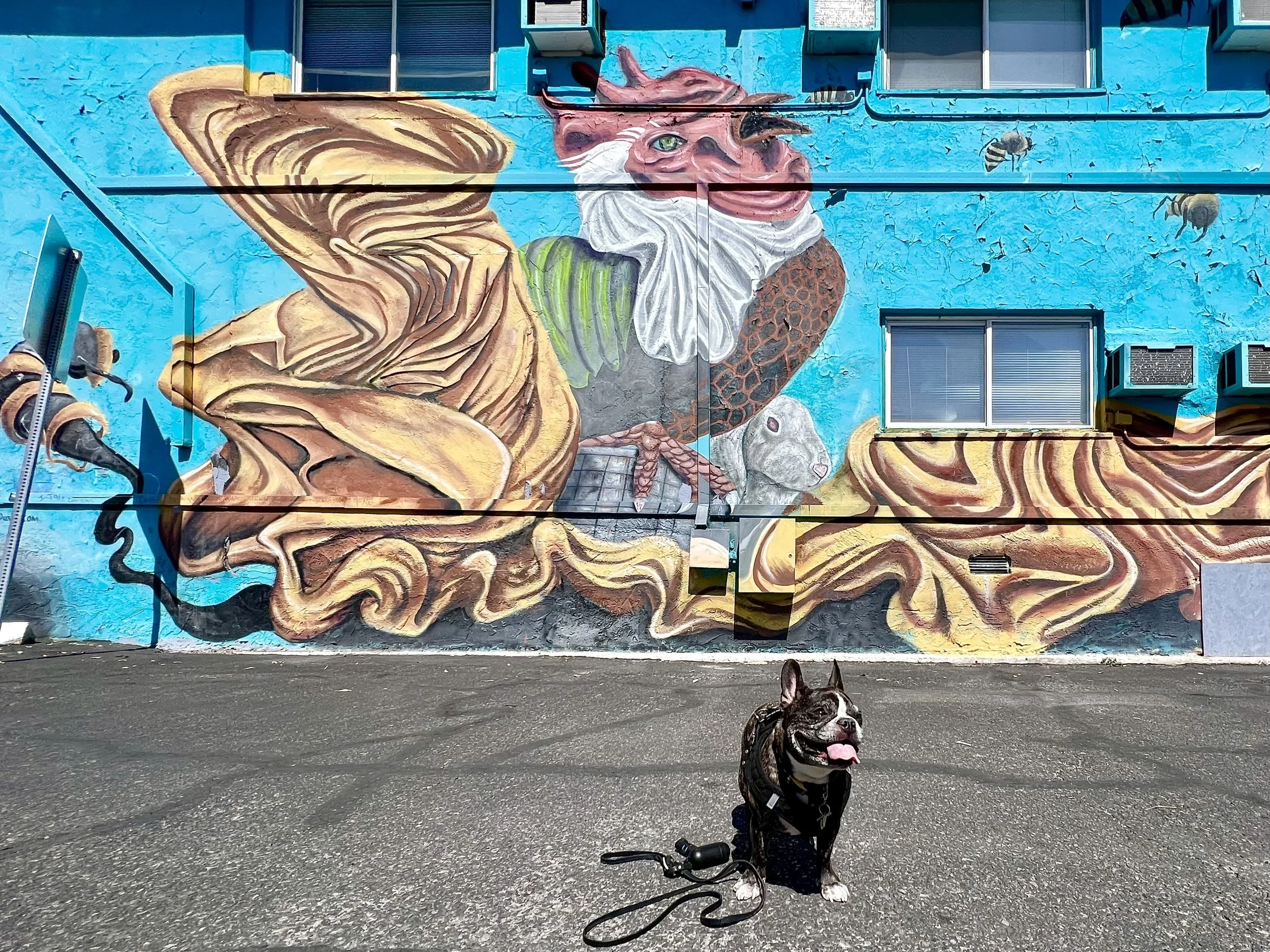 The Best San Diego Murals and Street Art and Where to Find Them — Sick
