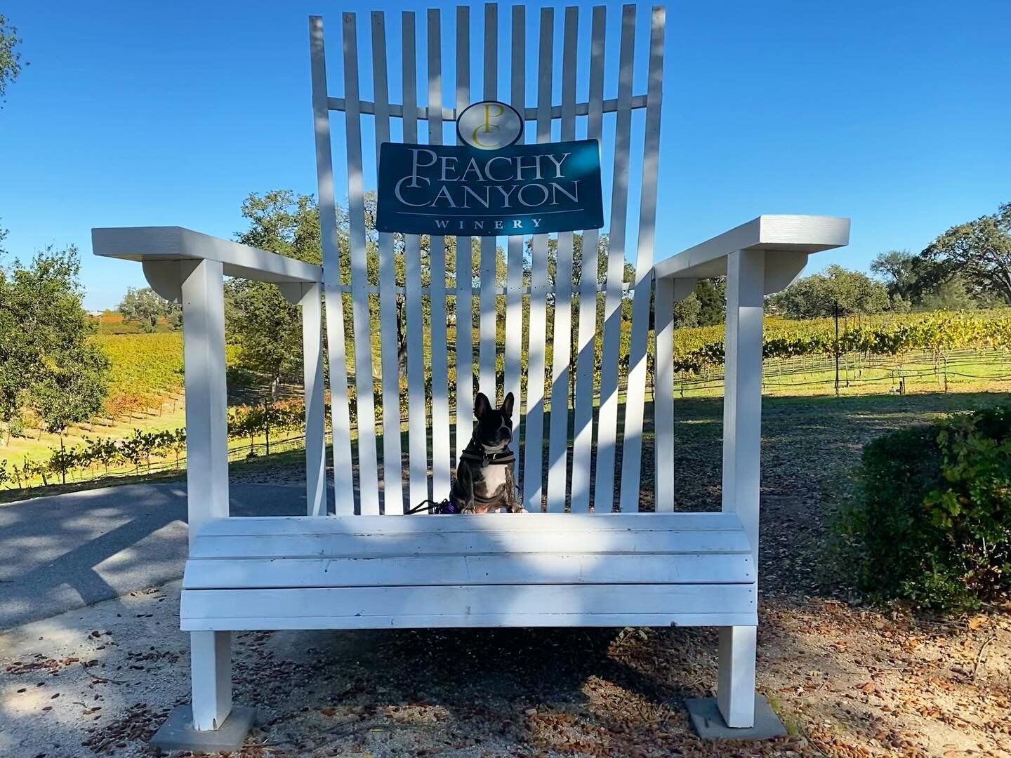 New on the blog, one of my favorite areas in California, Paso Robles! This guide to Paso Robles best wineries will give you all the info you need to visit 10 of Paso Robles best tasting rooms. 

All of these wineries are wheelchair accessible and man