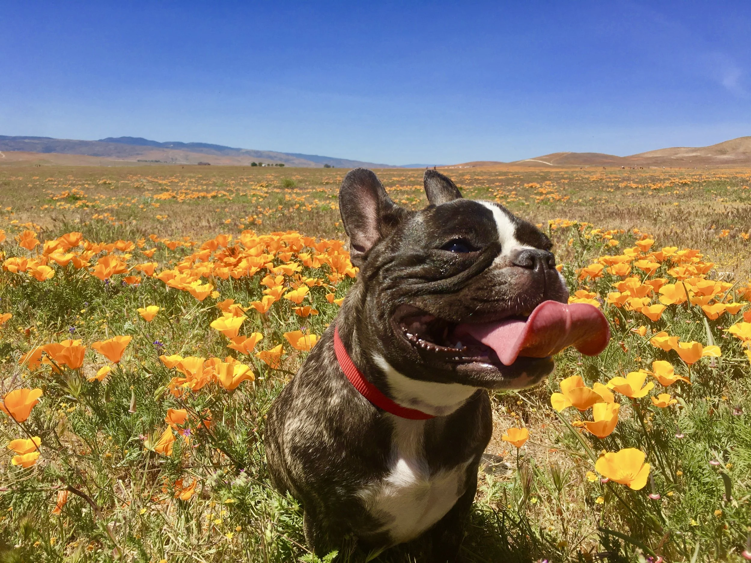 Best Places To Visit In California