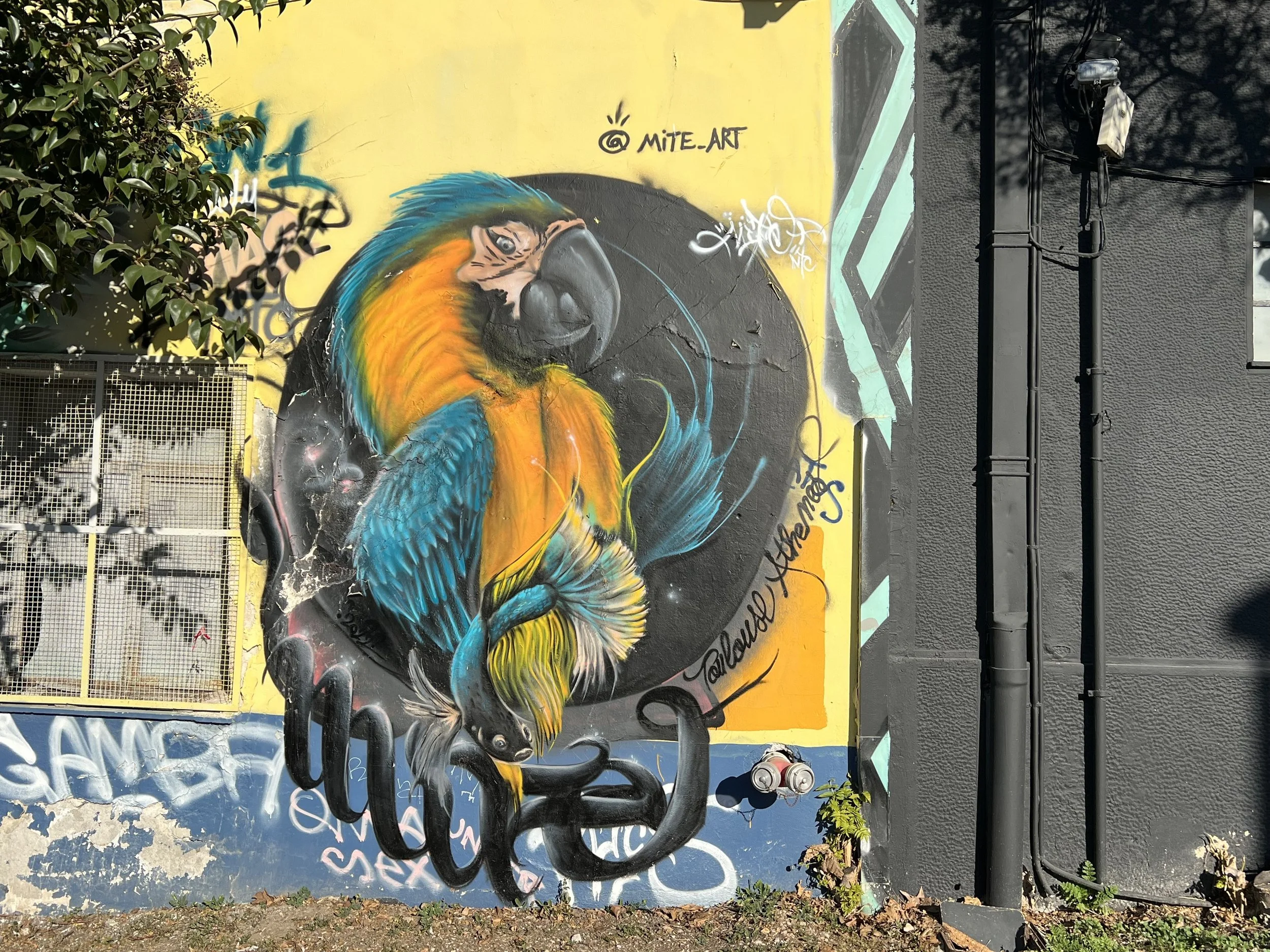 Best Street Art Athens Greece Cool Graffiti Art, Murals, and More — Sick Girl Travels
