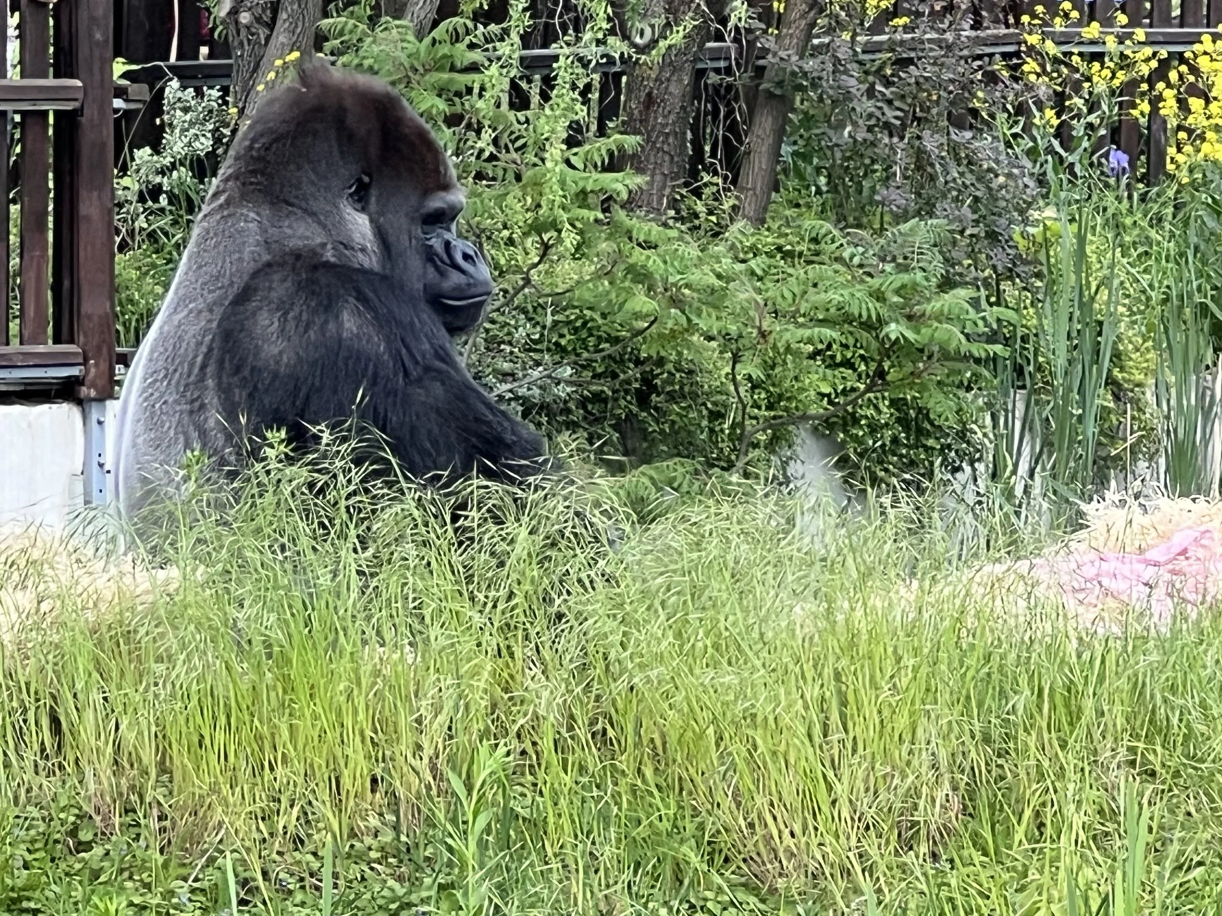 Visiting The Warsaw Zoo Poland — Sick Girl Travels