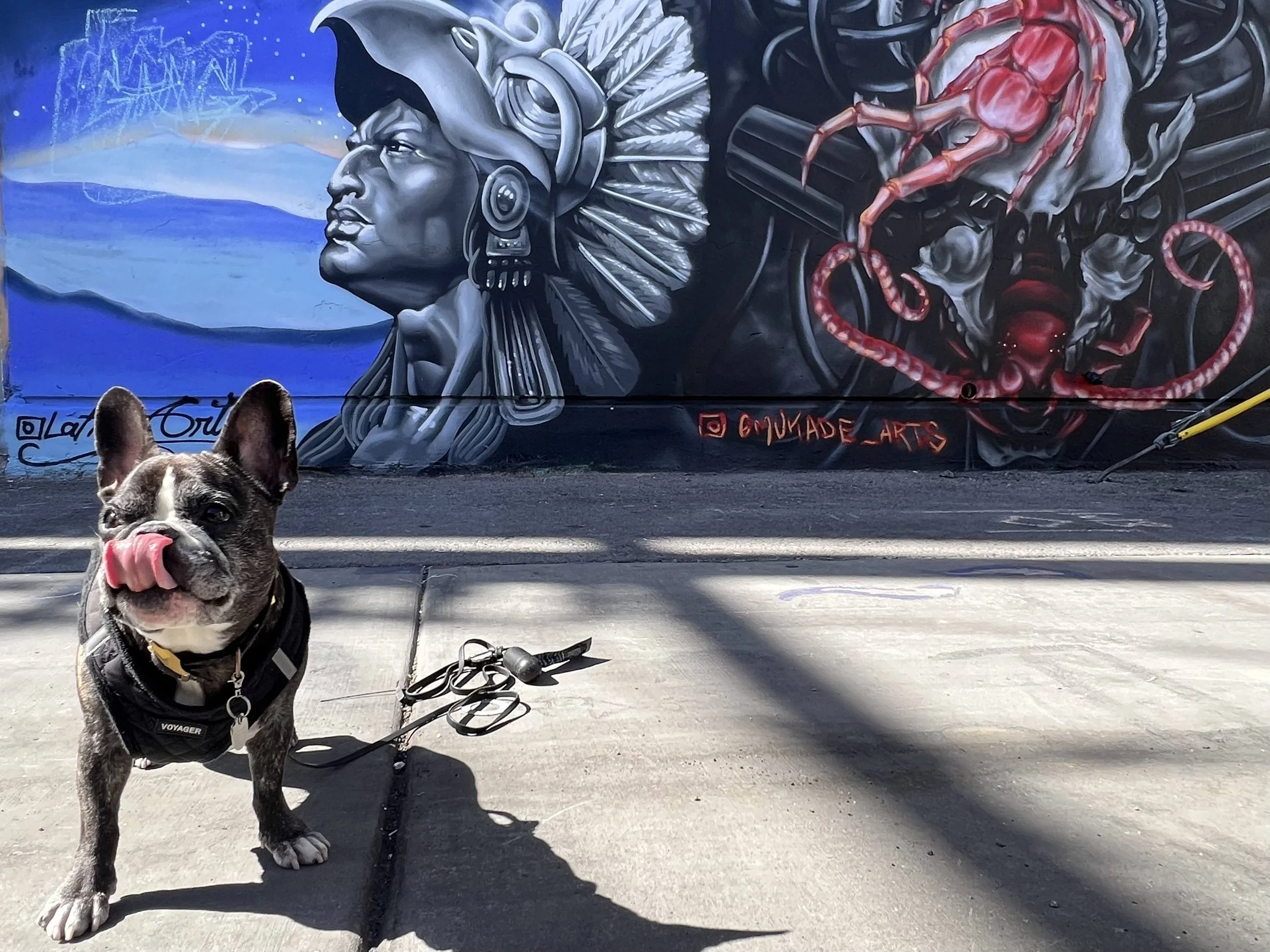 The Best Las Vegas Murals and Las Vegas Street Art — Sick Girl Travels