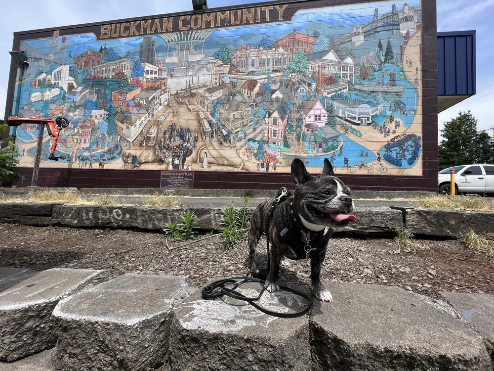 Graffiti, Murals, and More! A Portland Street Art Guide — Sick Girl Travels