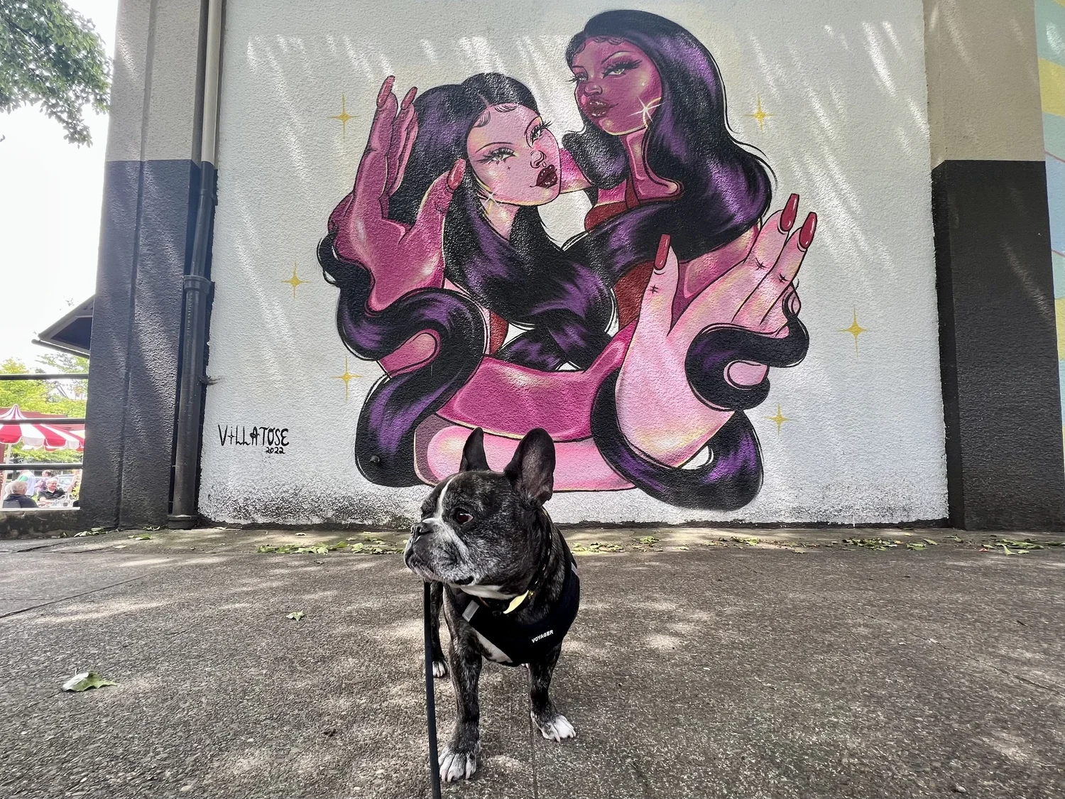 Graffiti, Murals, and More! A Portland Street Art Guide — Sick Girl Travels