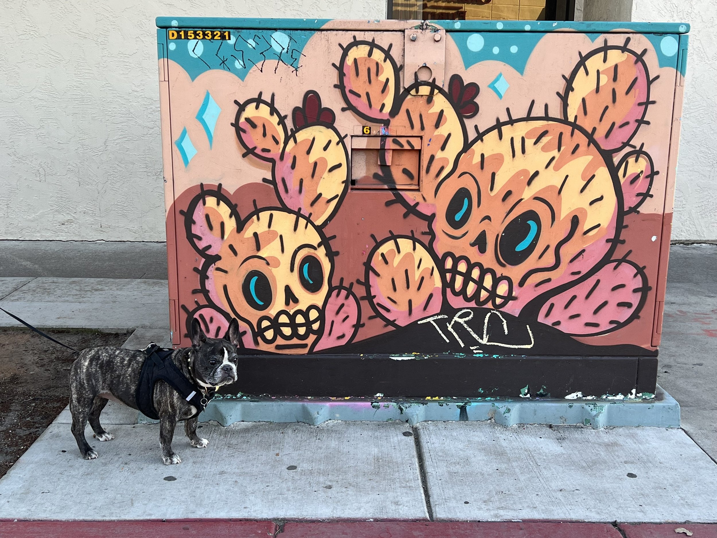 The Best San Diego Murals and Street Art and Where to Find Them — Sick
