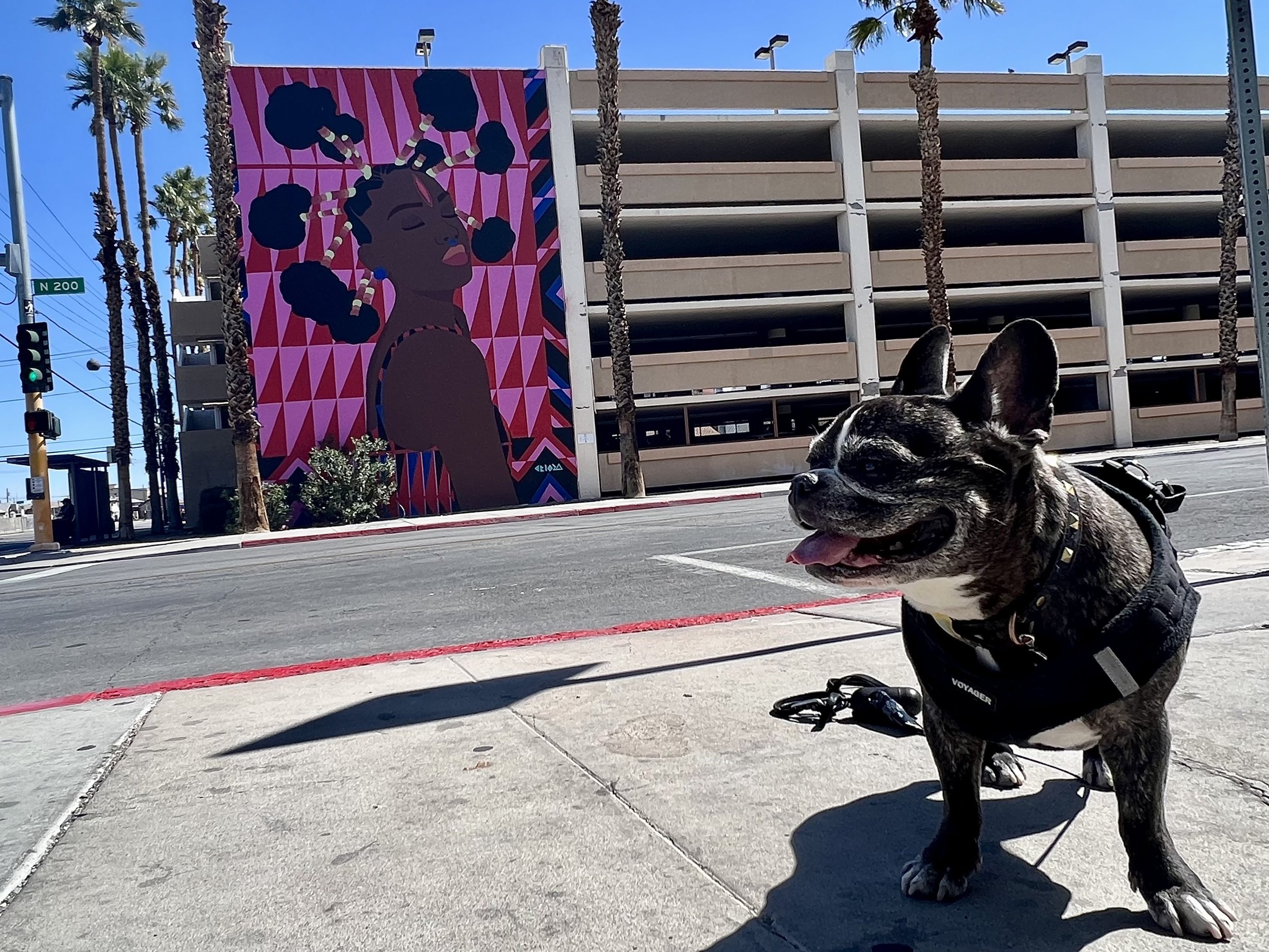 The Best Las Vegas Murals and Las Vegas Street Art — Sick Girl Travels