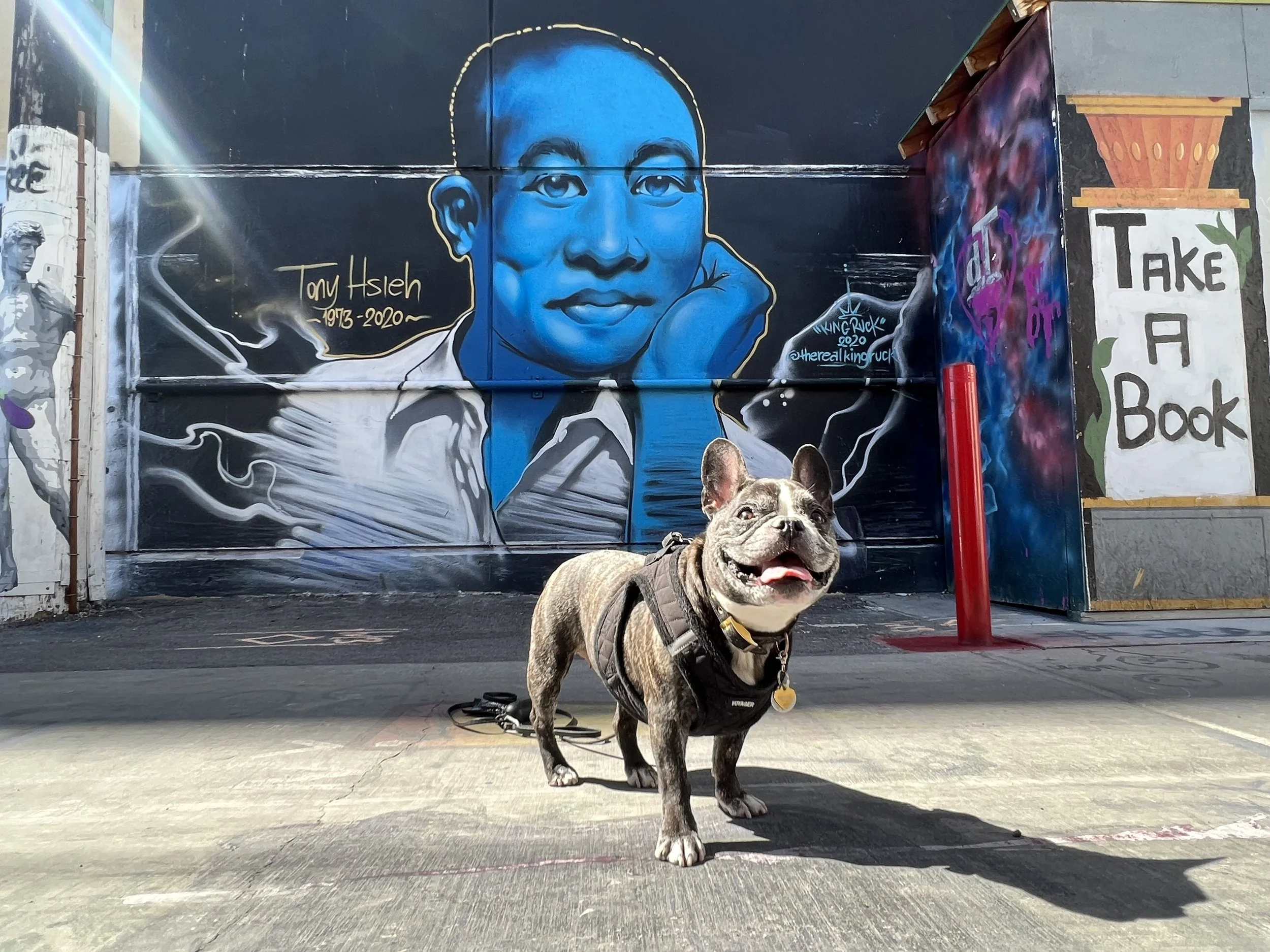 The Best Las Vegas Murals and Las Vegas Street Art — Sick Girl Travels