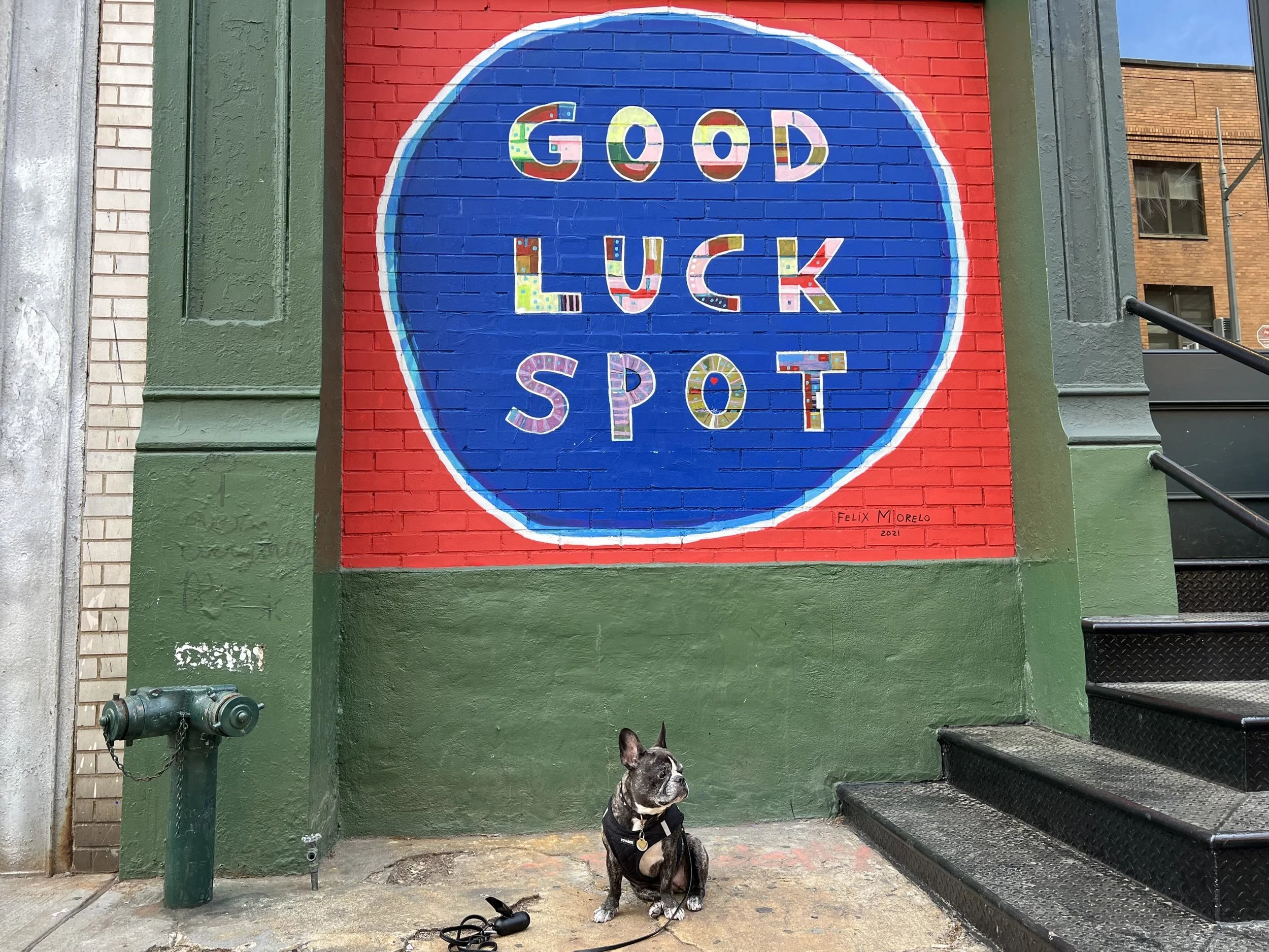 Unusual And Weird Things To Do In NYC Sick Girl Travels
