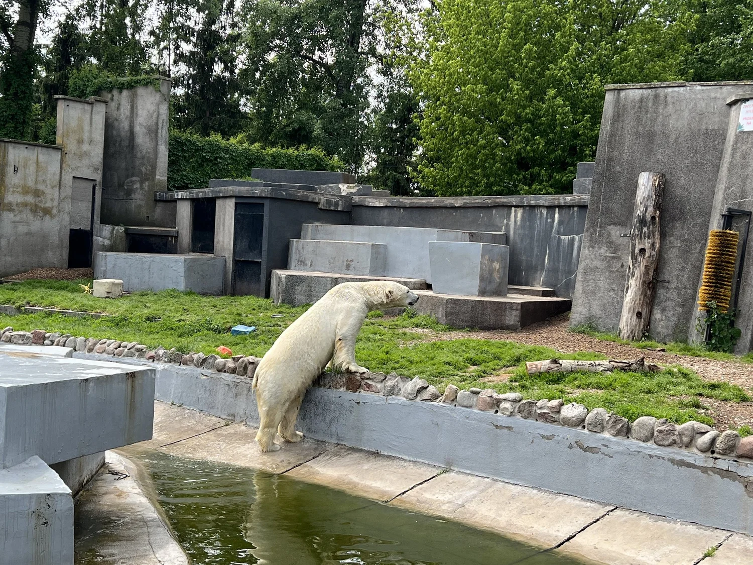 Visiting The Warsaw Zoo Poland — Sick Girl Travels