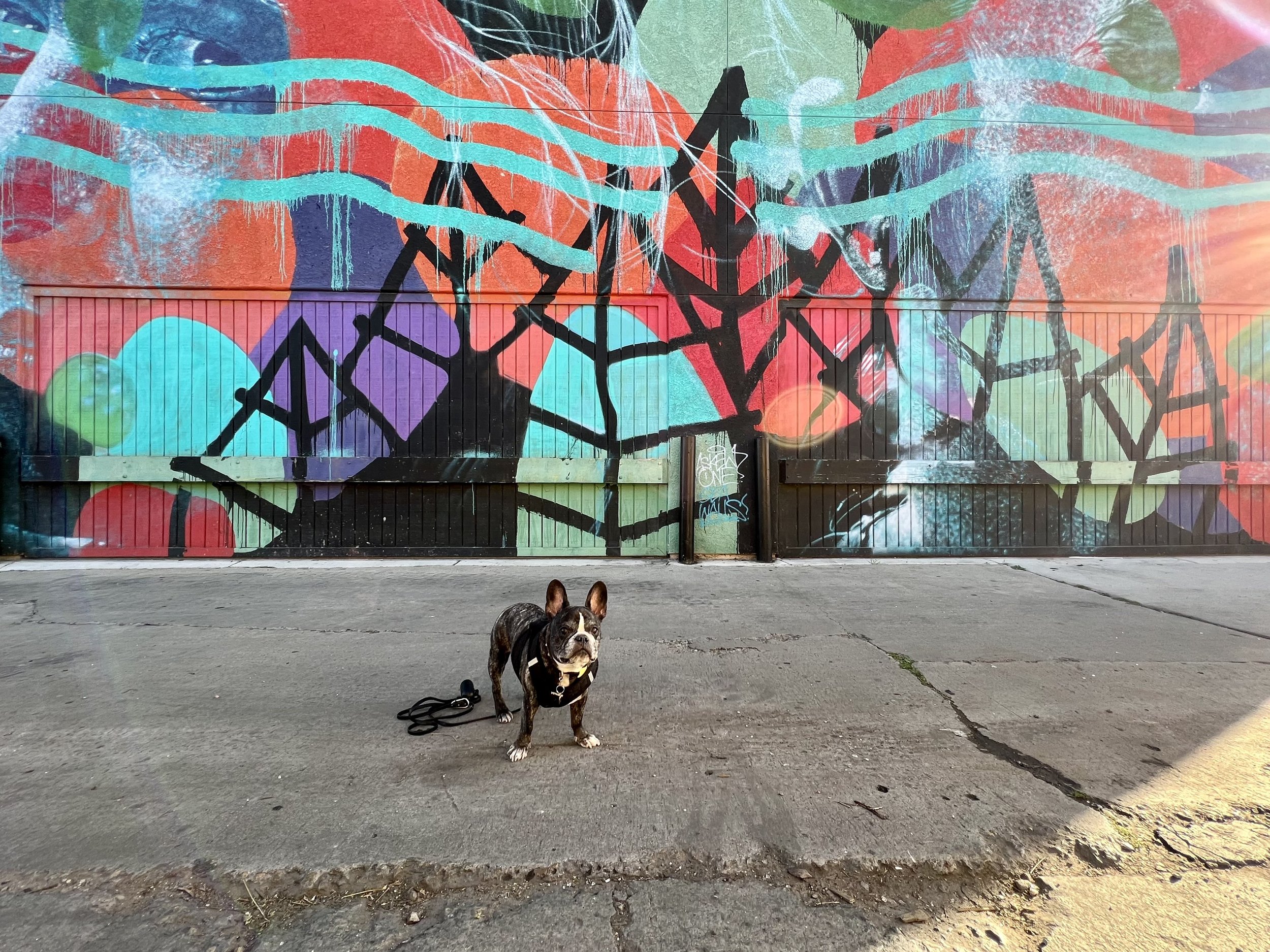 The Best San Diego Murals and Street Art and Where to Find Them — Sick