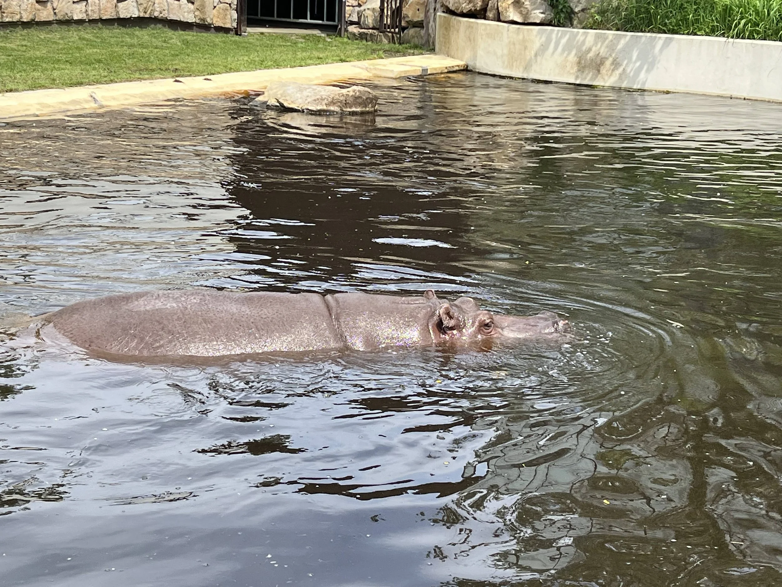 Visiting The Warsaw Zoo Poland — Sick Girl Travels