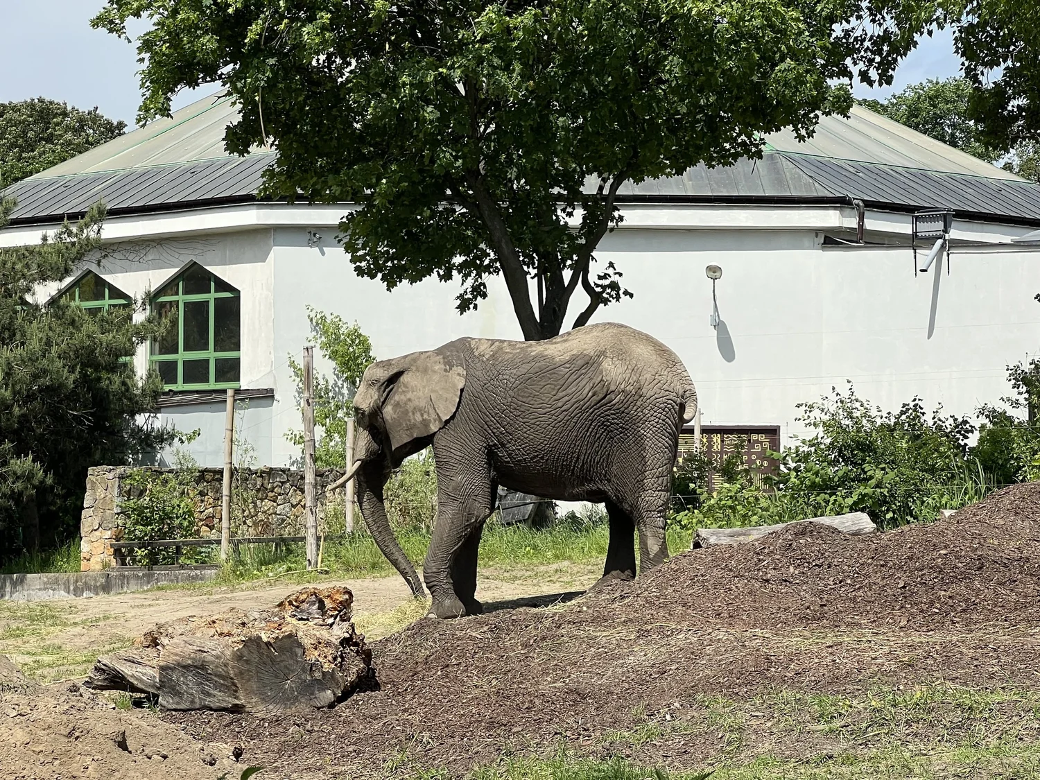 Visiting The Warsaw Zoo Poland — Sick Girl Travels
