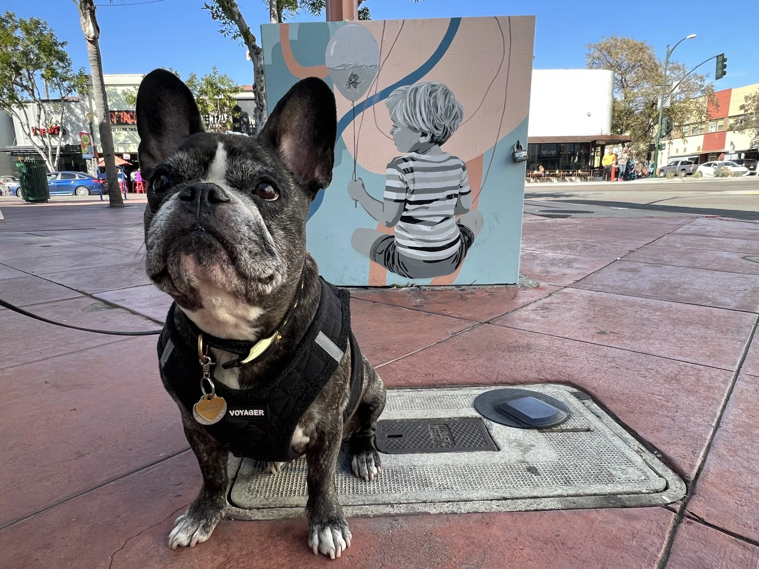 The Best San Diego Murals and Street Art and Where to Find Them — Sick