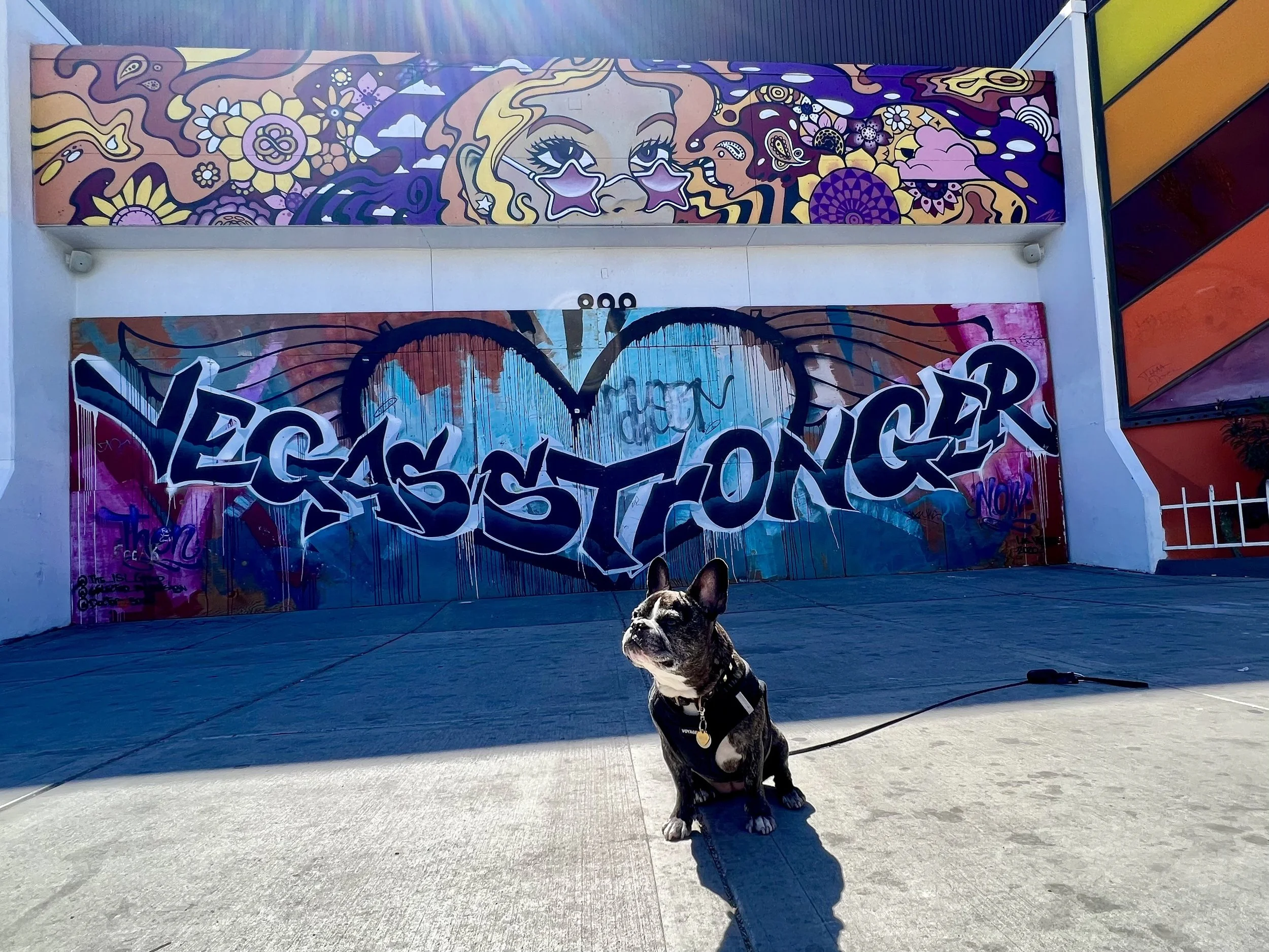 The Best Las Vegas Murals and Las Vegas Street Art — Sick Girl Travels