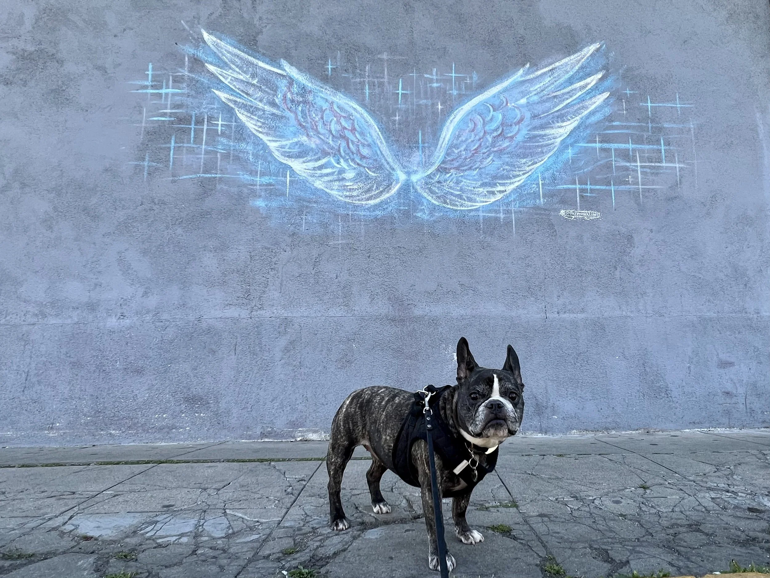 The Best San Diego Murals and Street Art and Where to Find Them — Sick