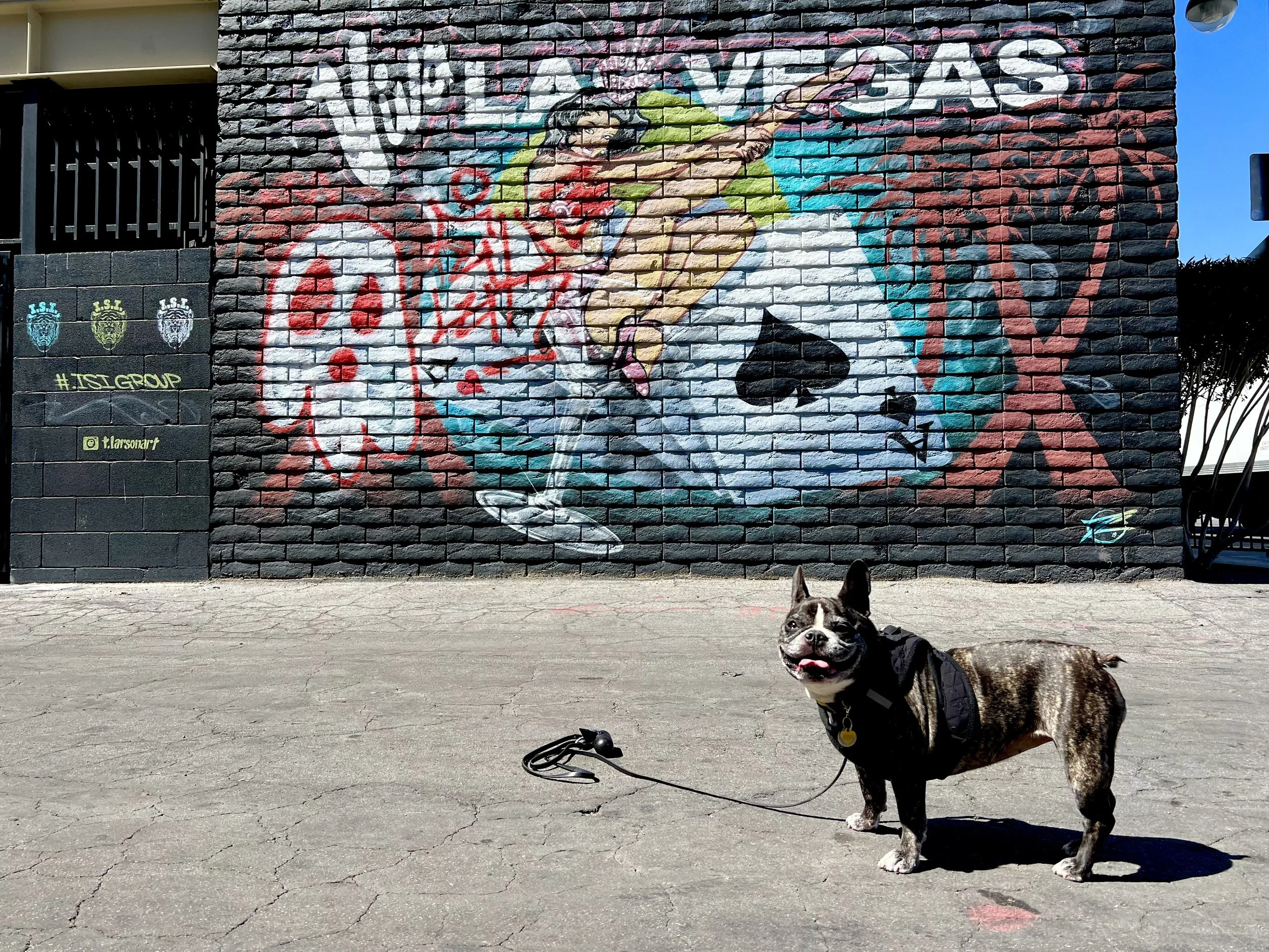 The Best Las Vegas Murals and Las Vegas Street Art — Sick Girl Travels