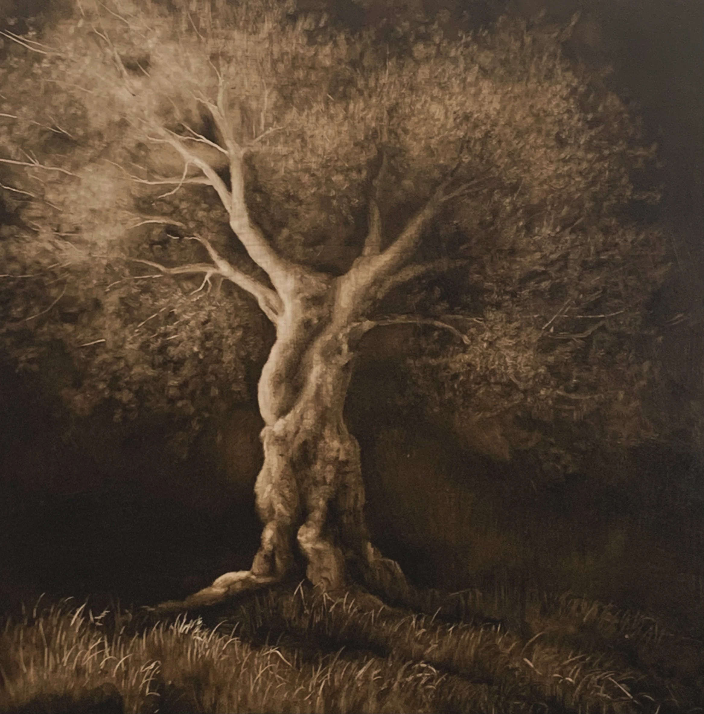 03CD52D9-7718-4B1C-8A4C-651CCC111128.jpeg