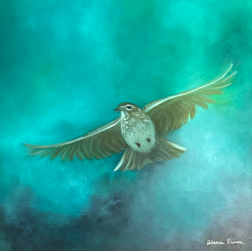 Screen Shot 2025-09-26 at 11.47.26 AM.png