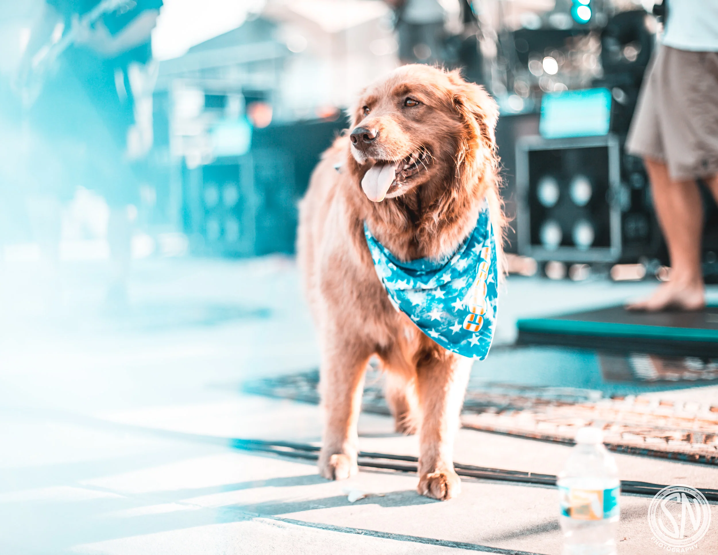 Cocoa, FL - July 15, 2018 - School's Out for Summer