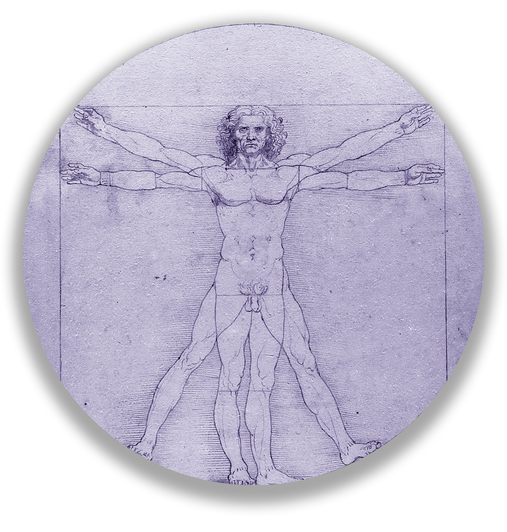 Da_Vinci_Vitruve_Luc_Viatour - duatone.png