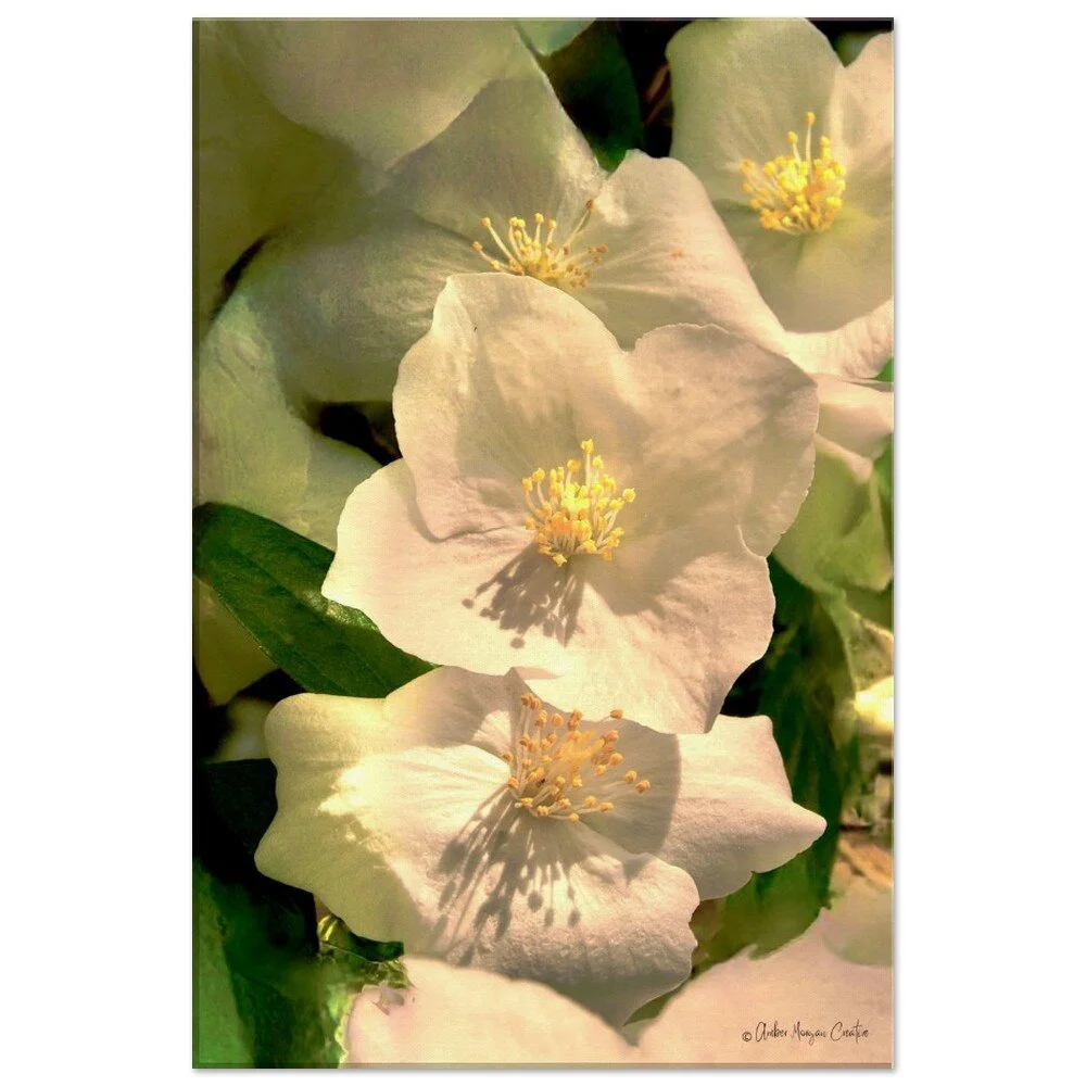 tmp-417-ZUxg64XAegn3