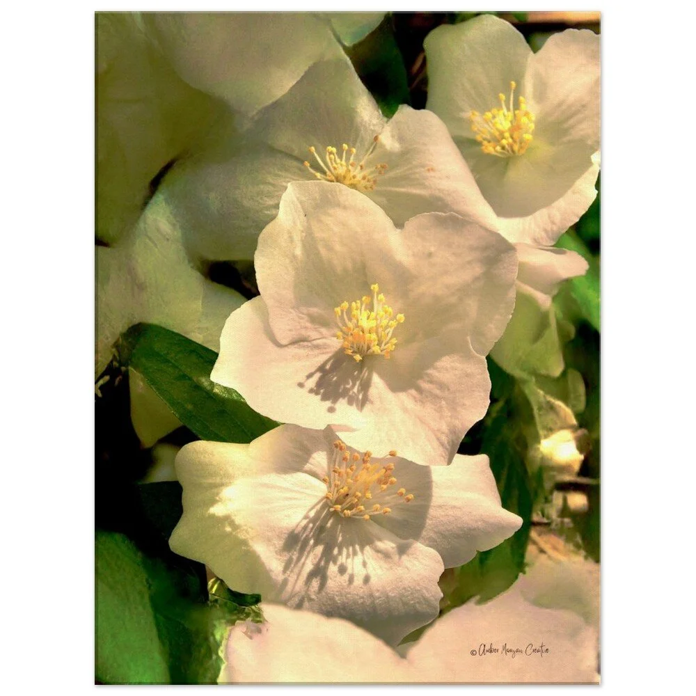 tmp-417-4ZYn4Jdft6Dp